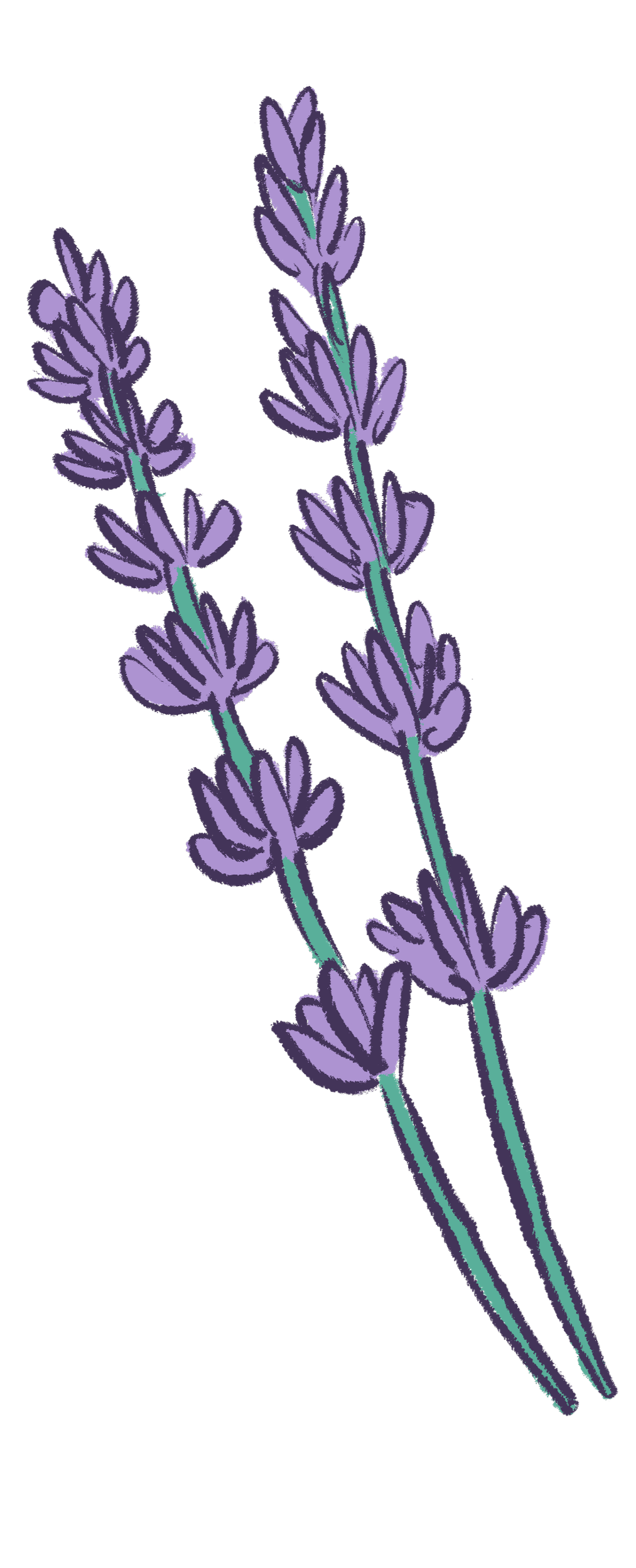 lavender sprig illustrated sticker