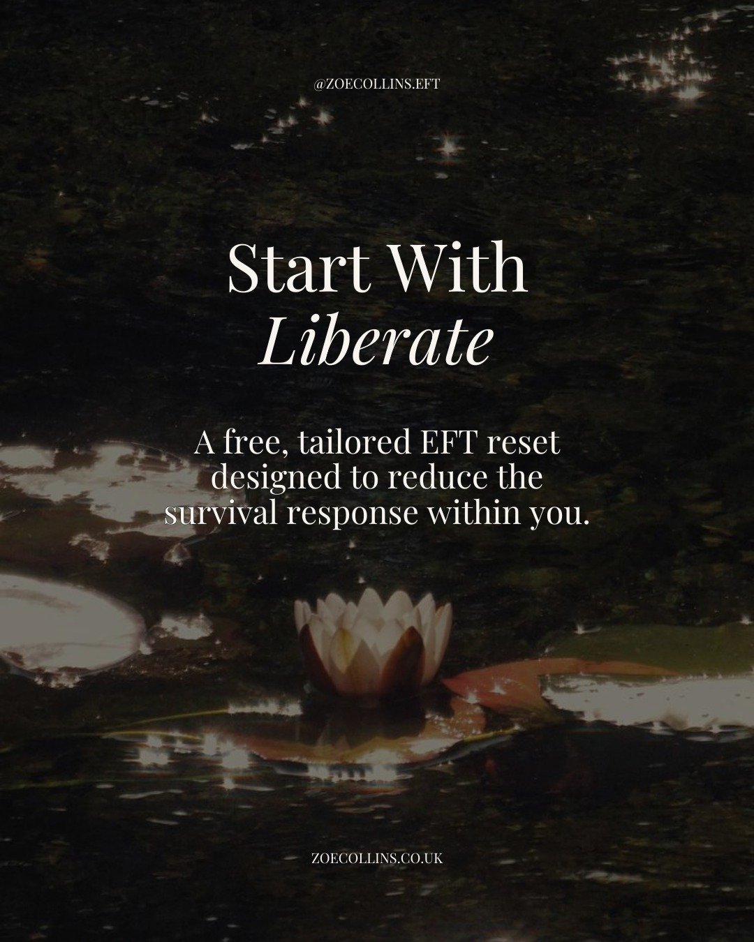 Liberate is a potent, practical way to interrupt the survival response that kicks in when you're trying to take expansive action - &amp; its free.

By answering a few targeted questions, you&rsquo;ll identify how your nervous system tends to react ar