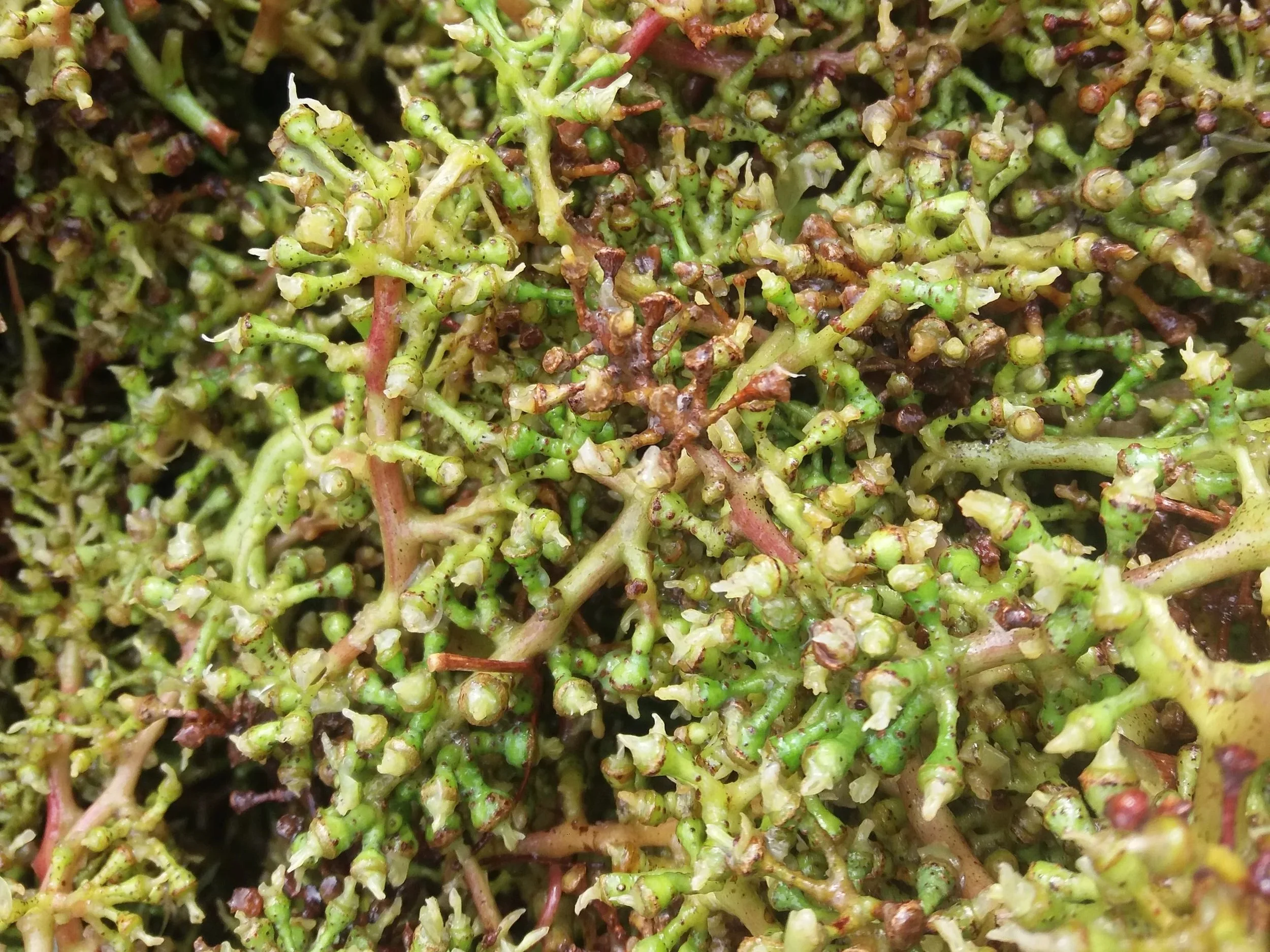 20170925_123256.jpg