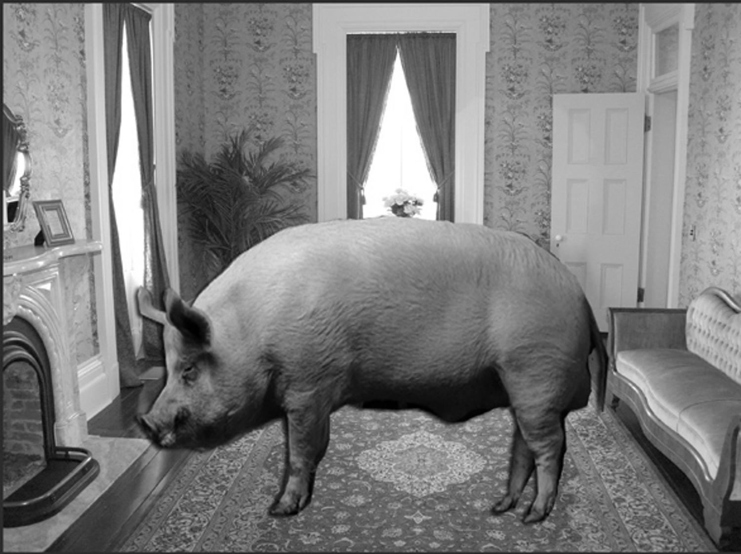 Land-Use Planning is Bad for Cities