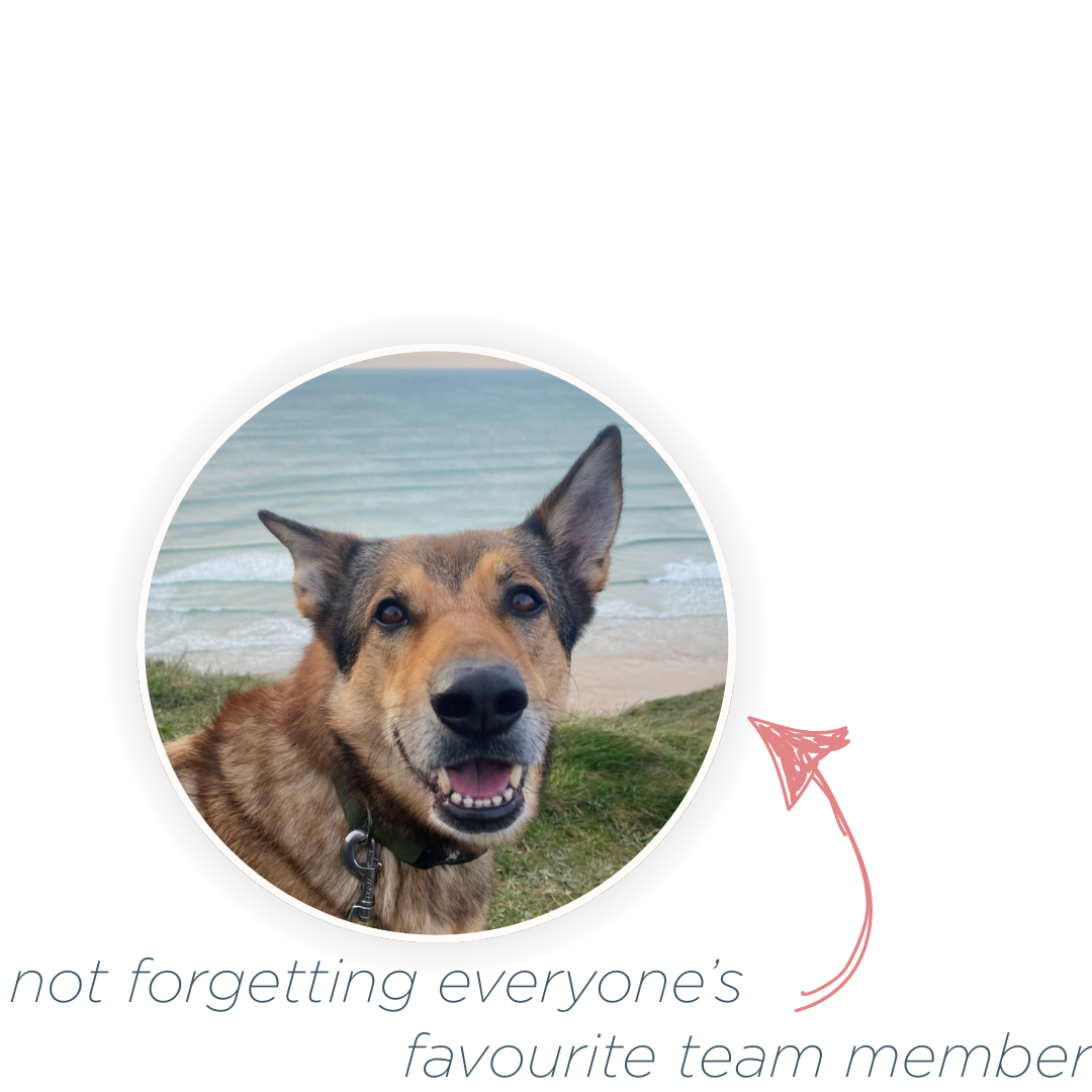 Close-up of a happy brown and black dog with one ear up, in front of a beach with water and sand, with text and a pink arrow pointing to the dog.