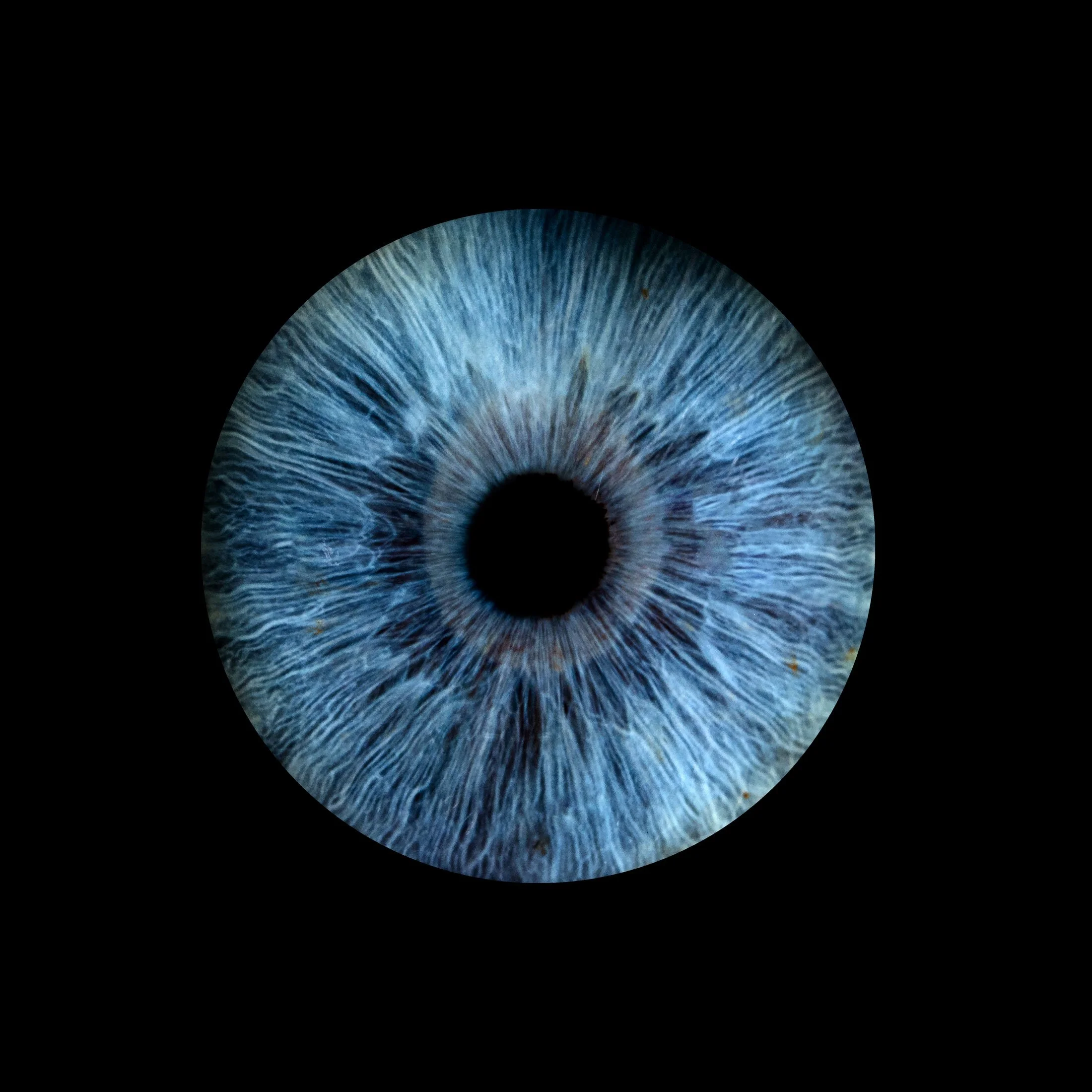 Close-up of a human eye iris in shades of blue and gray with a black pupil against a black background, © illumos Ltd.