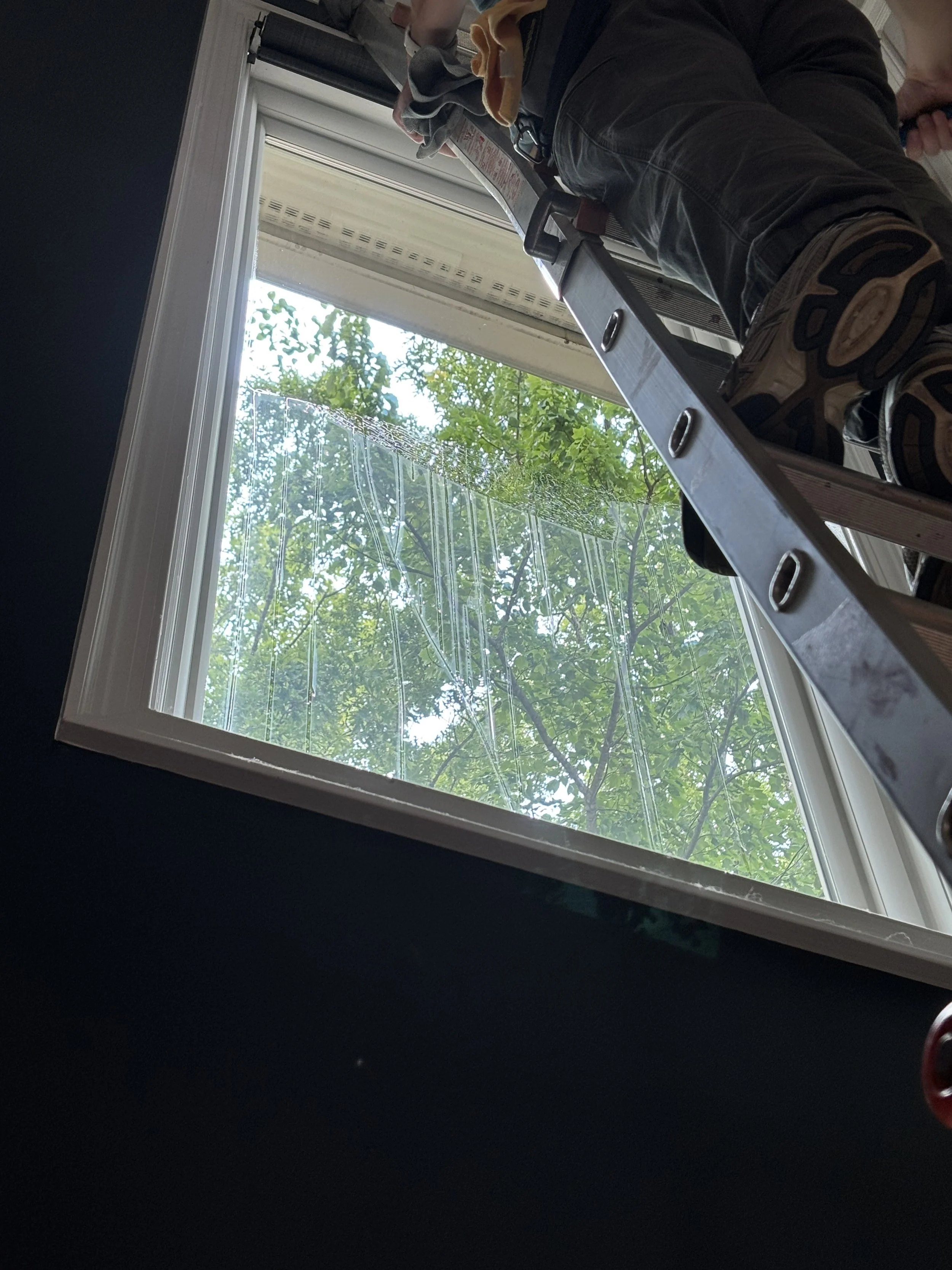 window cleaning difference.jpeg