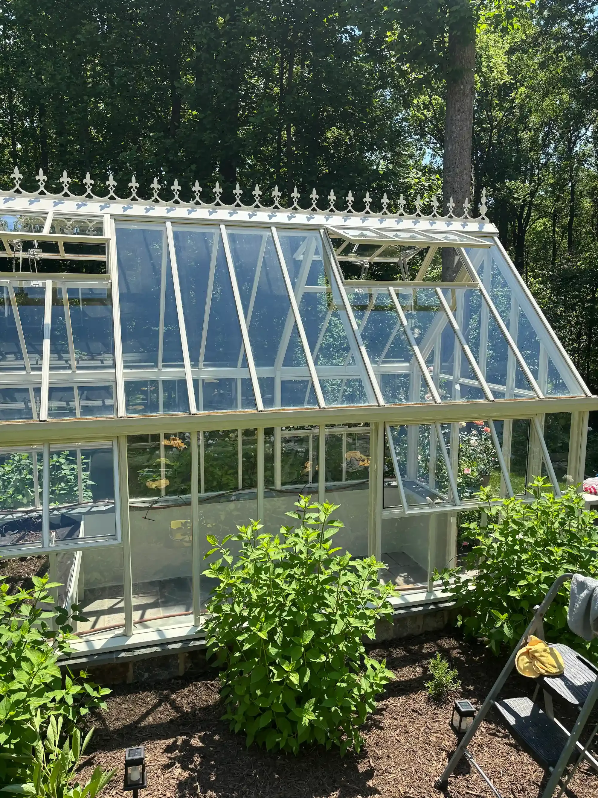 window-cleaning-arlington-residential-pane-relief.webp.webp