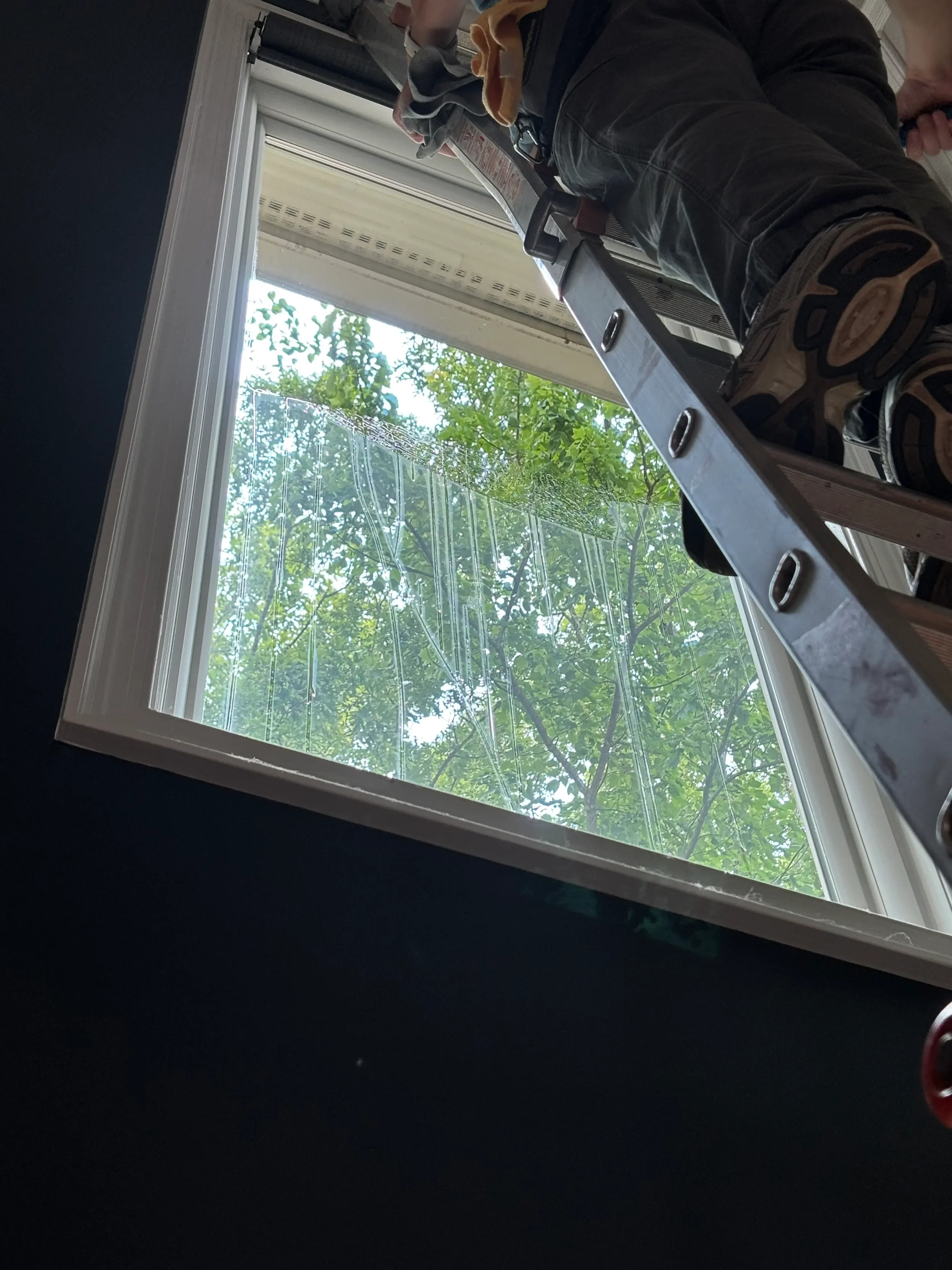 window-cleaning-alexandria-residential-pane-relief.webp.webp