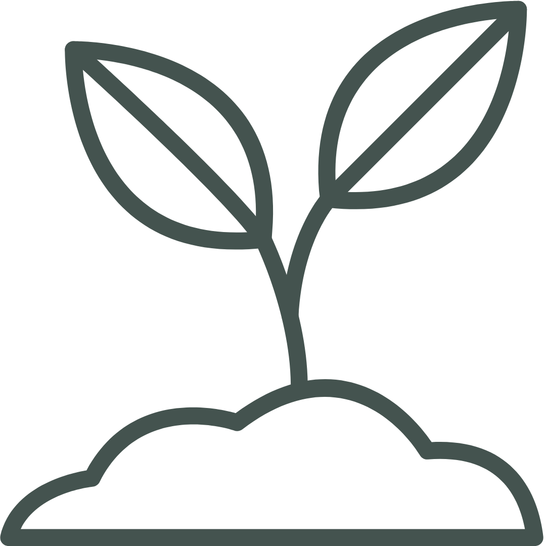 Icon of a sprouting plant with two leaves growing from a mound of soil.