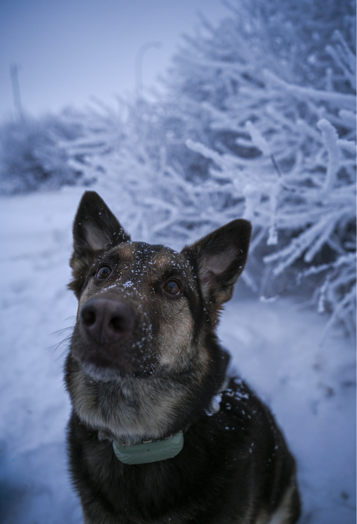 Screenshot 2026-01-07 at 4.26.33 PM.png