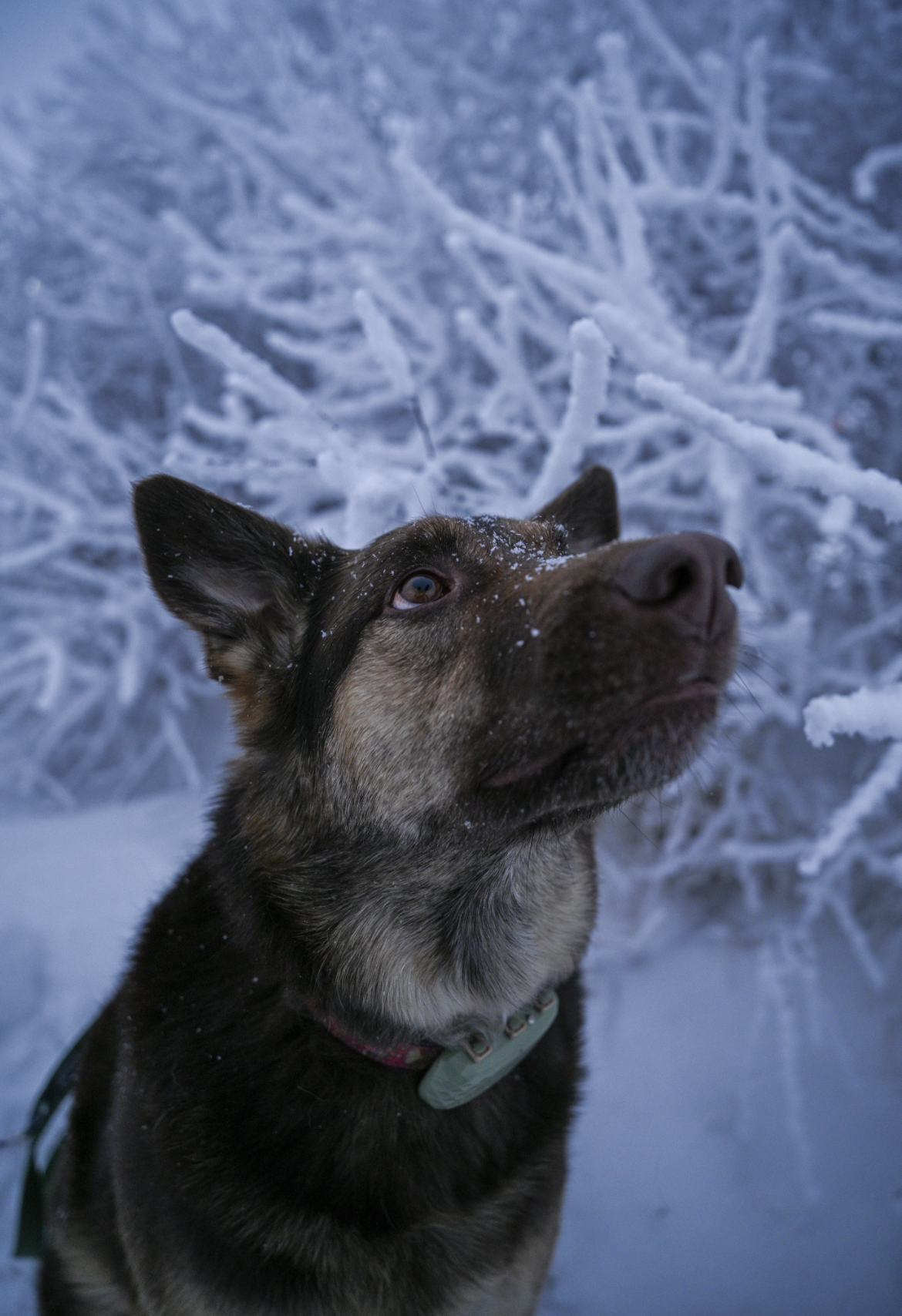 Screenshot 2026-01-07 at 4.22.17 PM.png