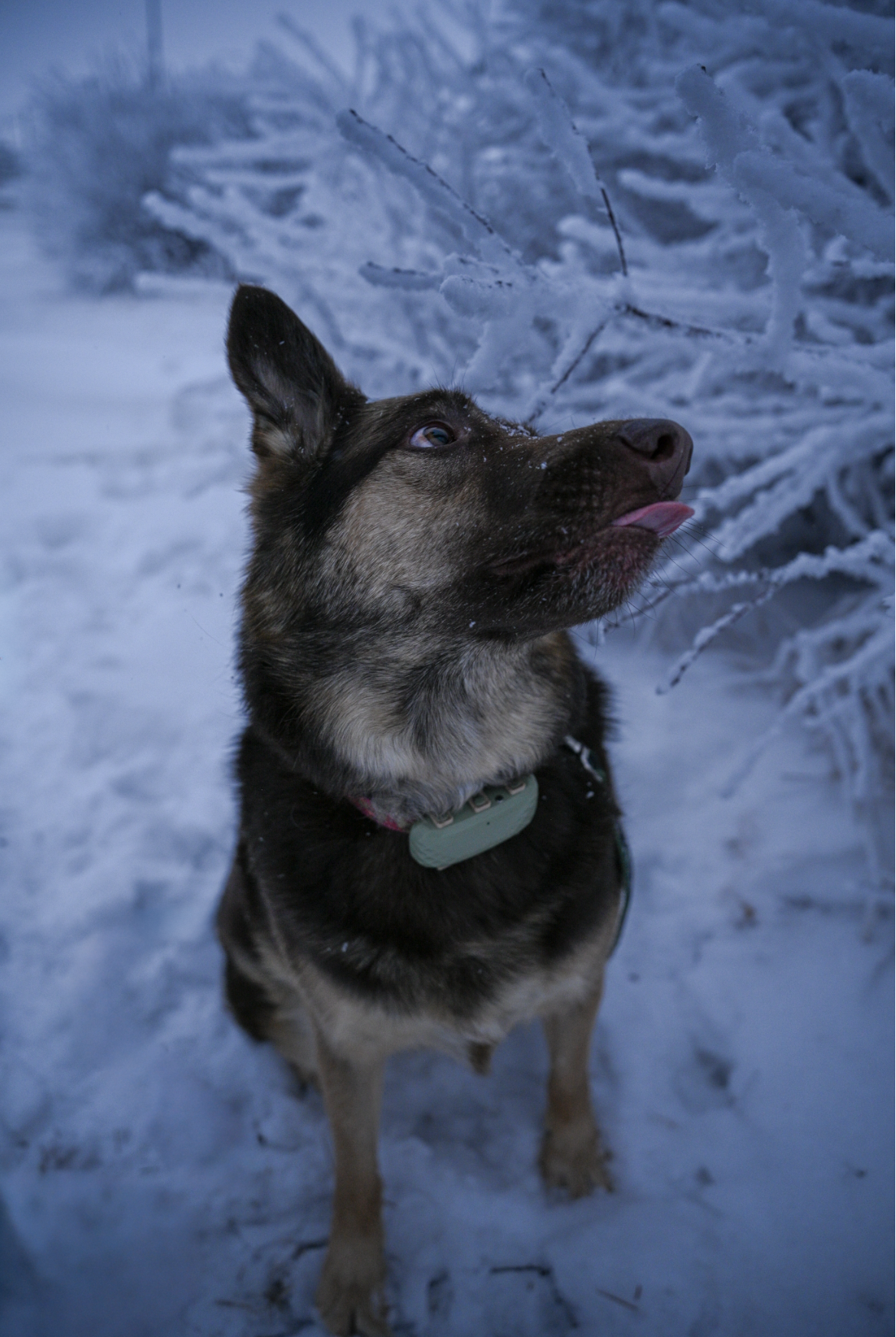 Screenshot 2026-01-07 at 4.30.40 PM.png