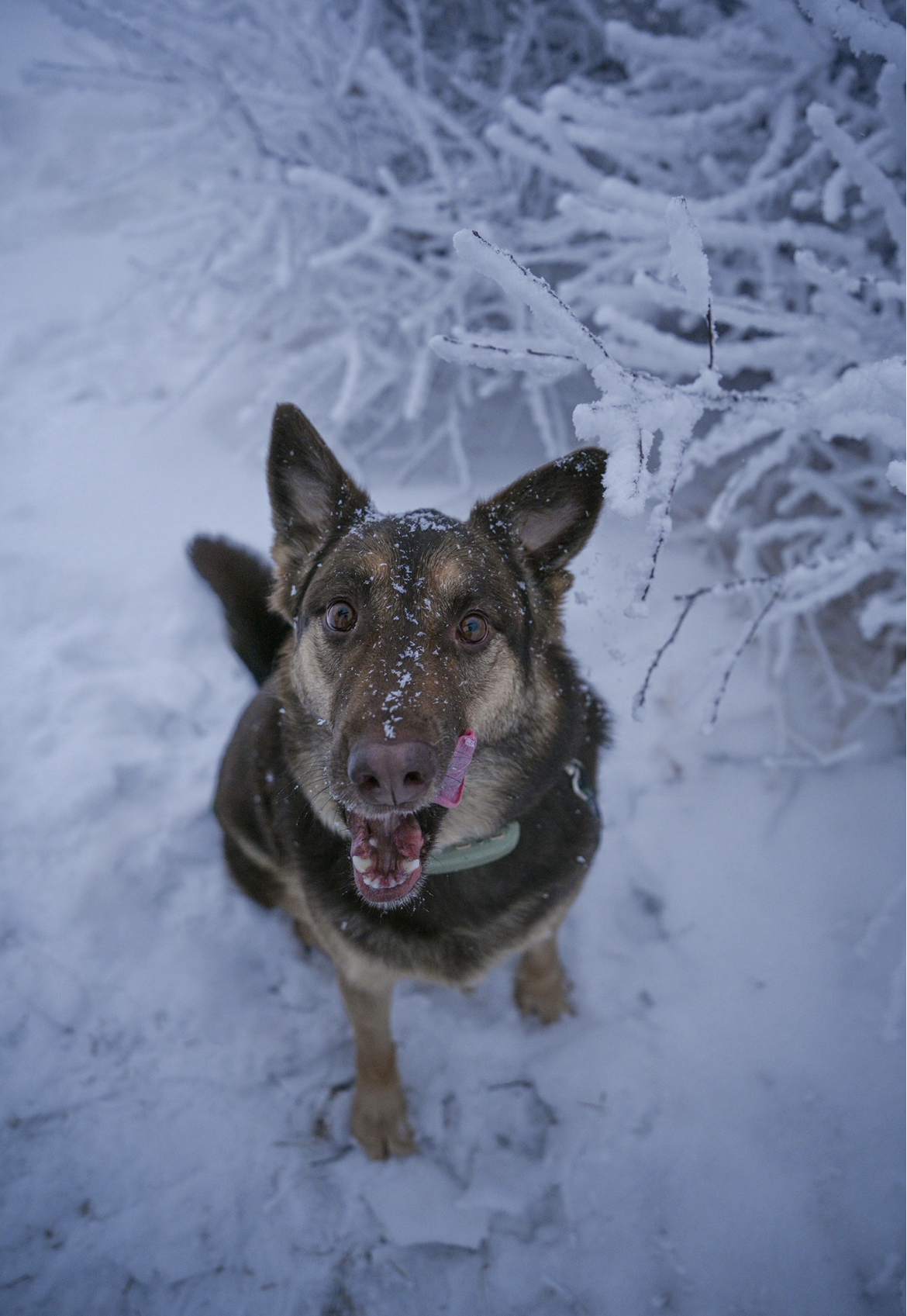 View recent photos 2.png