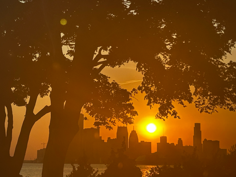 Detroit skyline at golden hour, viewed through silhouetted tree canopy along the Belle Isle riverfront, with the sun setting behind downtown skyscrapers and the Detroit River reflecting warm light below.