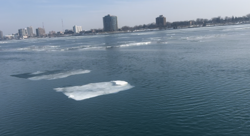 Large ice floes drifting on the Detroit River in winter, with the Windsor, Ontario skyline visible across the water under a clear pale blue sky, the same river corridor that supports over 300 bird species and dozens of wildlife species year-round