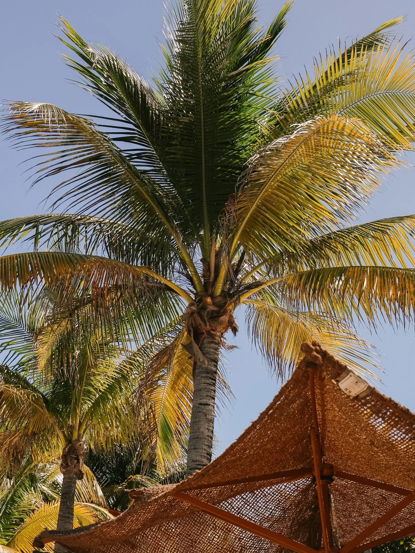The best days start here.