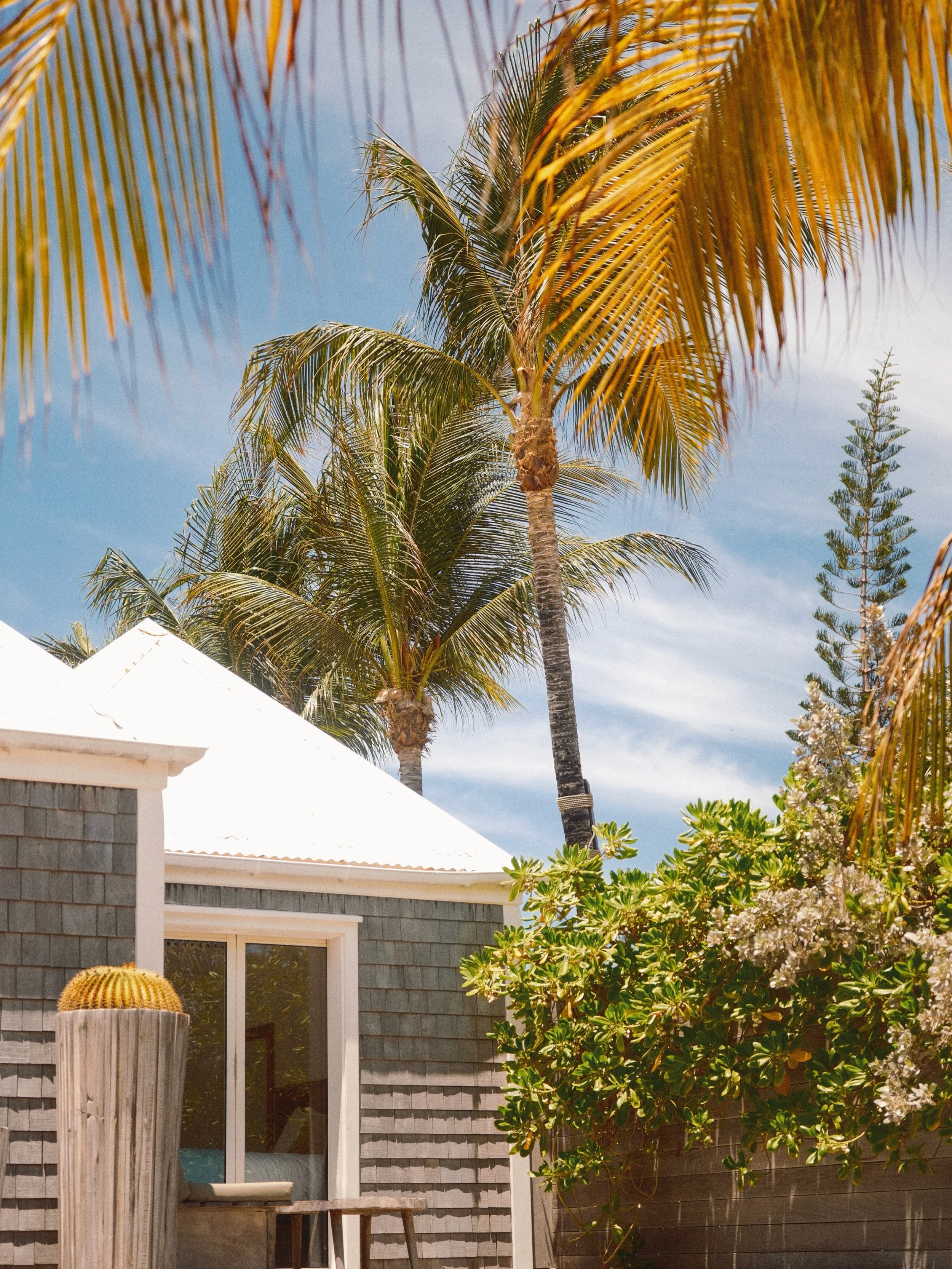 Wake up just steps from the sea 🌊
Our Beach Front Suites offers a private terrace overlooking the ocean, with direct access to Pearl Beach Club and Saint Jean Bay right at your doorstep.
Your Caribbean escape, from morning to sunset.
Book your stay 