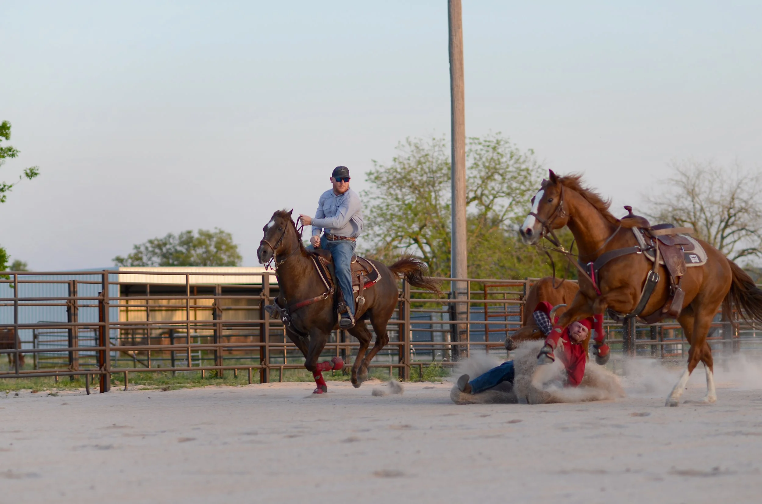 Two horseback riders are involved in a rodeo event, with one rider falling off a bucking horse and the other rider on his horse watching nearby.