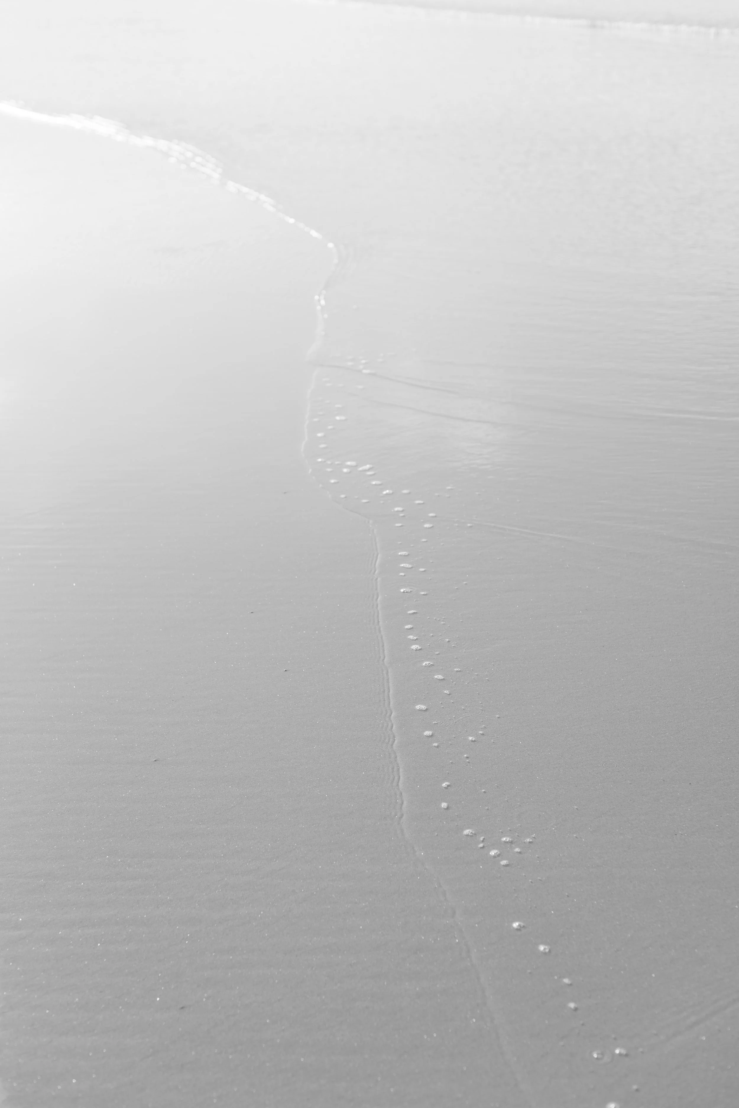 DSE_4104.jpg