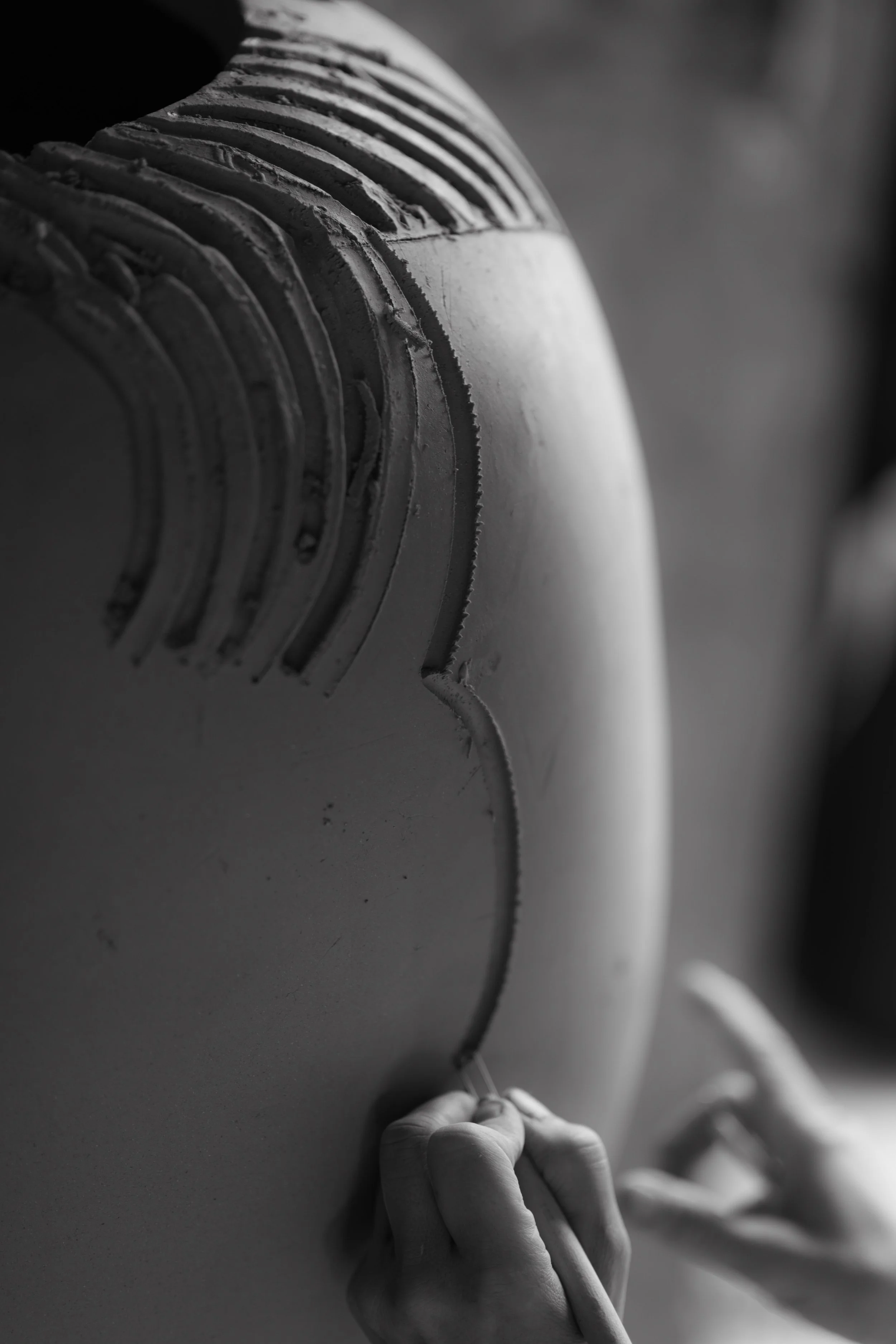 DSC_9842-Modifier.jpg