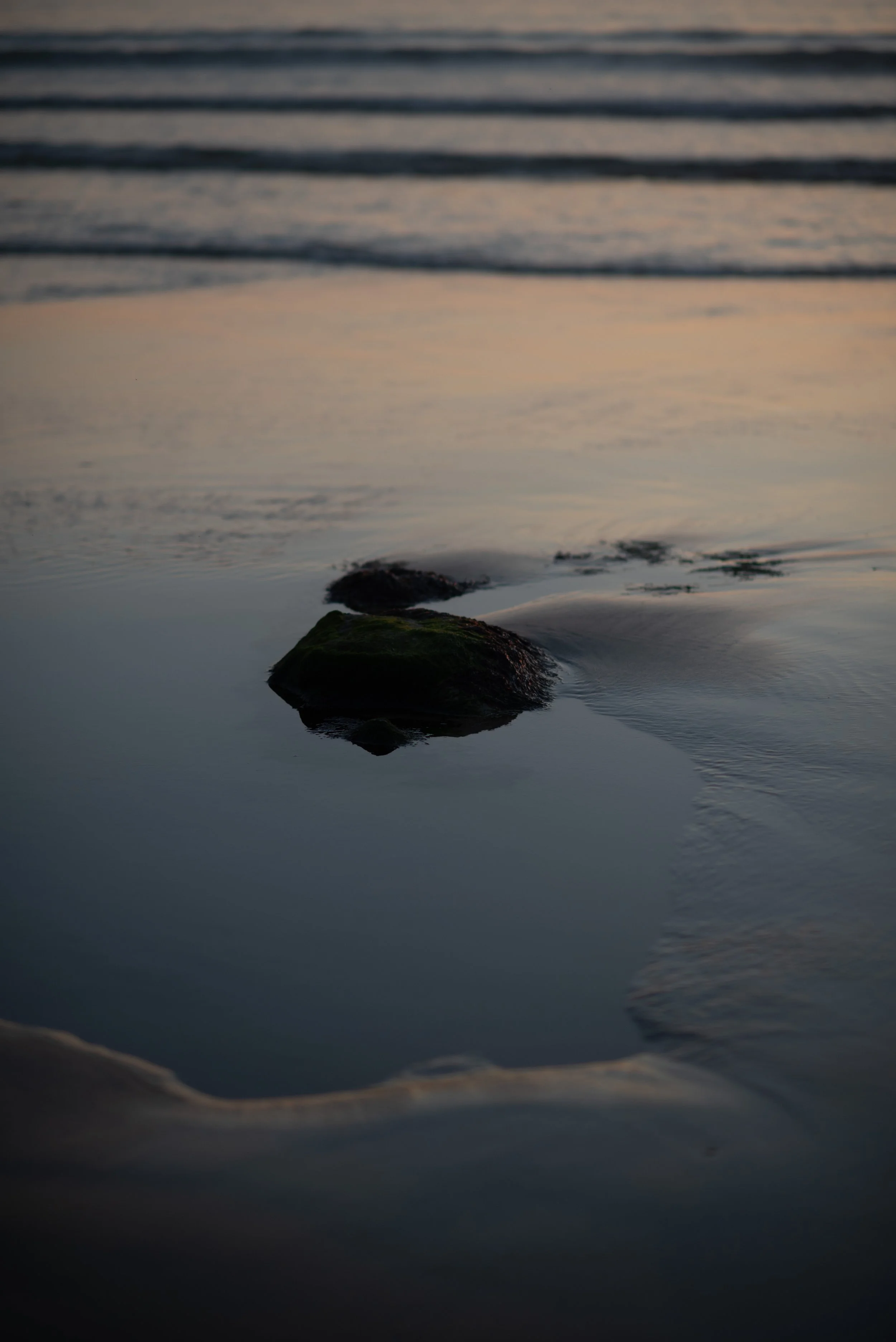 DSC_3055.jpg