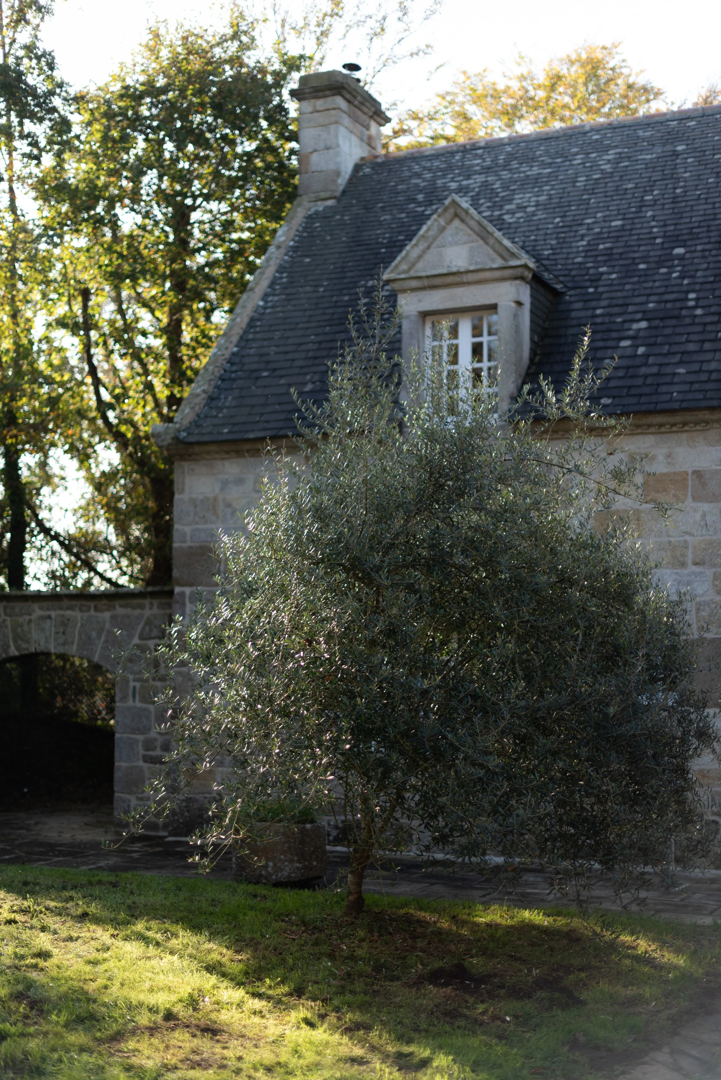 DSC_2138.jpg