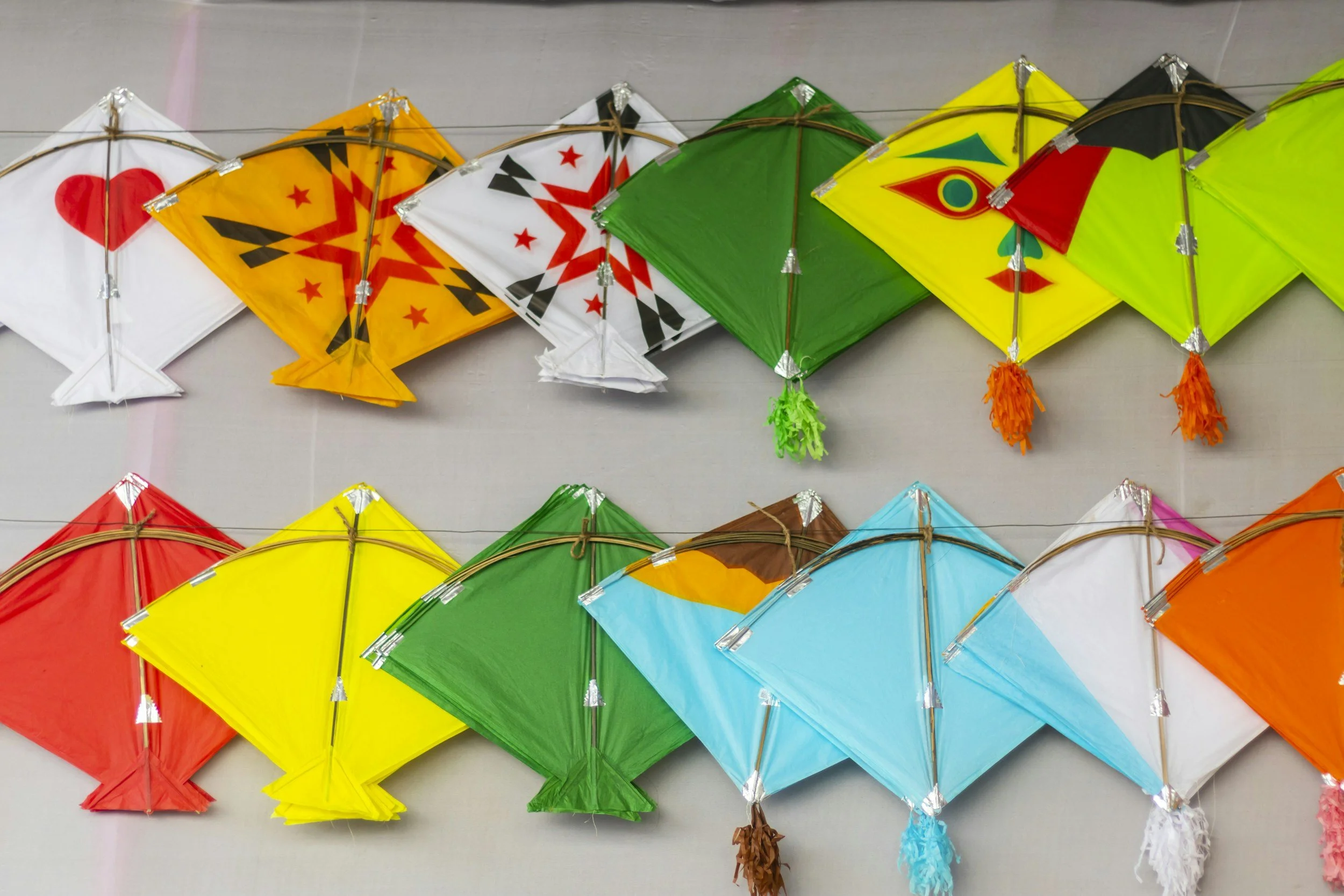 Makar Sankranti