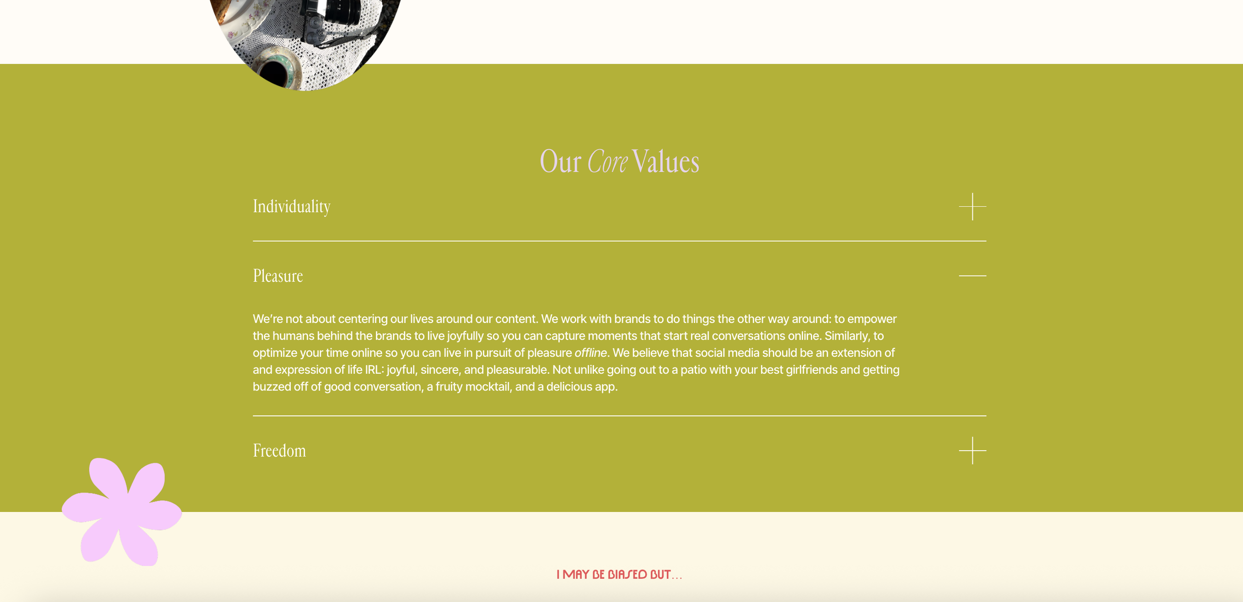 Screenshot of webpage. 3 headings on a green background with the title "our core values." the three headings are "individuality," "pleasure," and "freedom." The heading "pleasure" has an open drop down paragraph. There is a cutout flower.