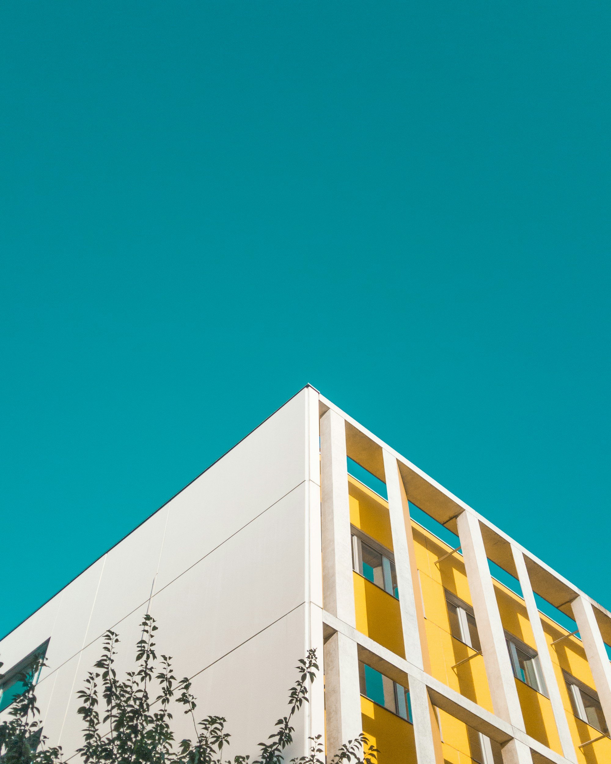 Construction solutions/consulting services Dallas TX.jpg
