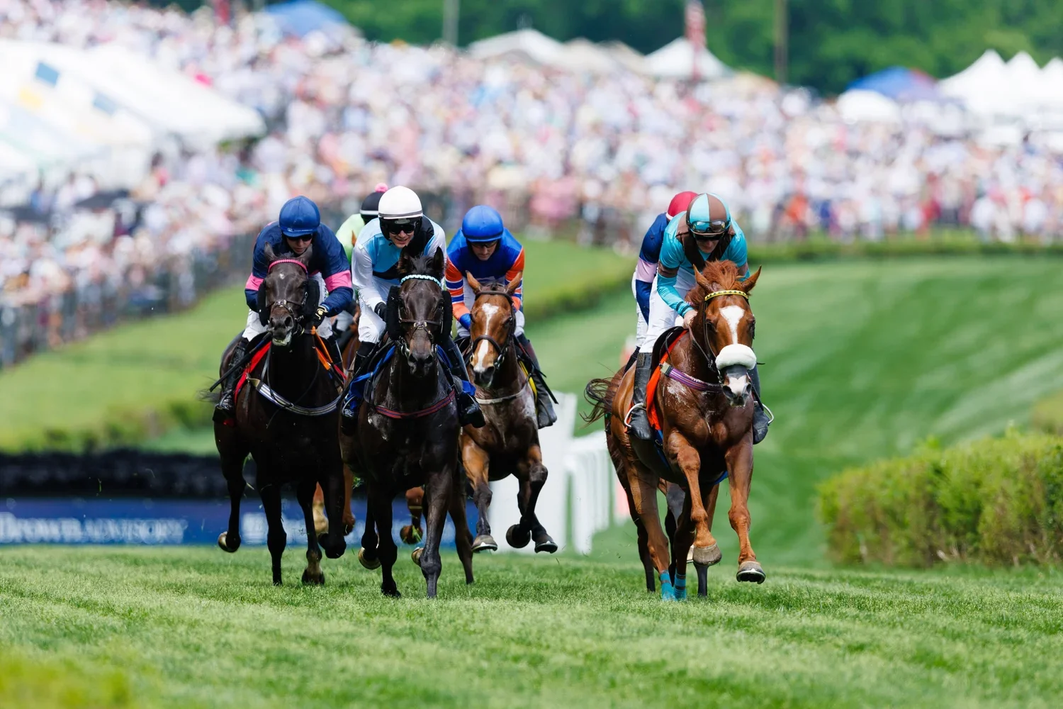 Nashville Steeplechase: Where Style Meets Southern Tradition