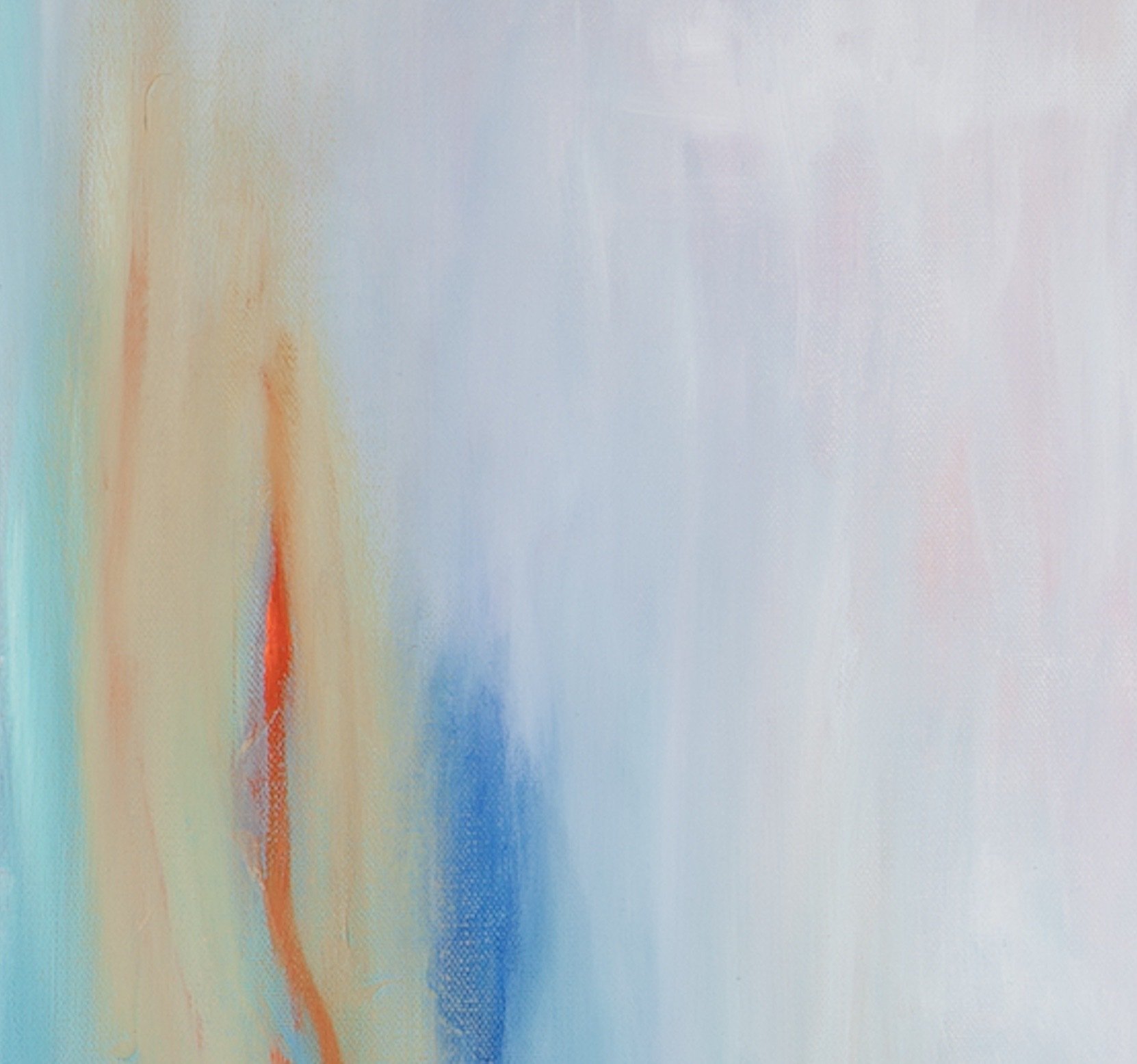 shell up close 2.jpeg