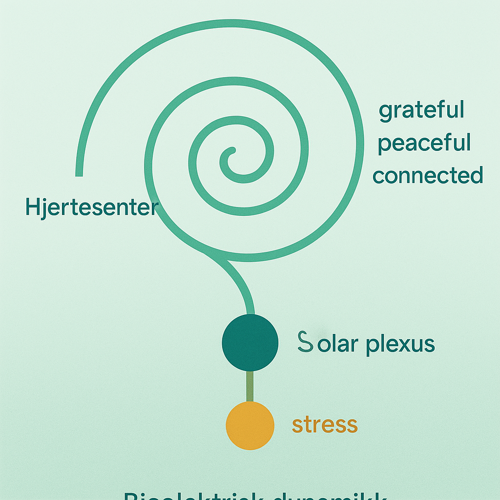 Spiral diagram with terms Hjertecenter, Solar plexus, stress, grateful, peaceful, connected on light green background.