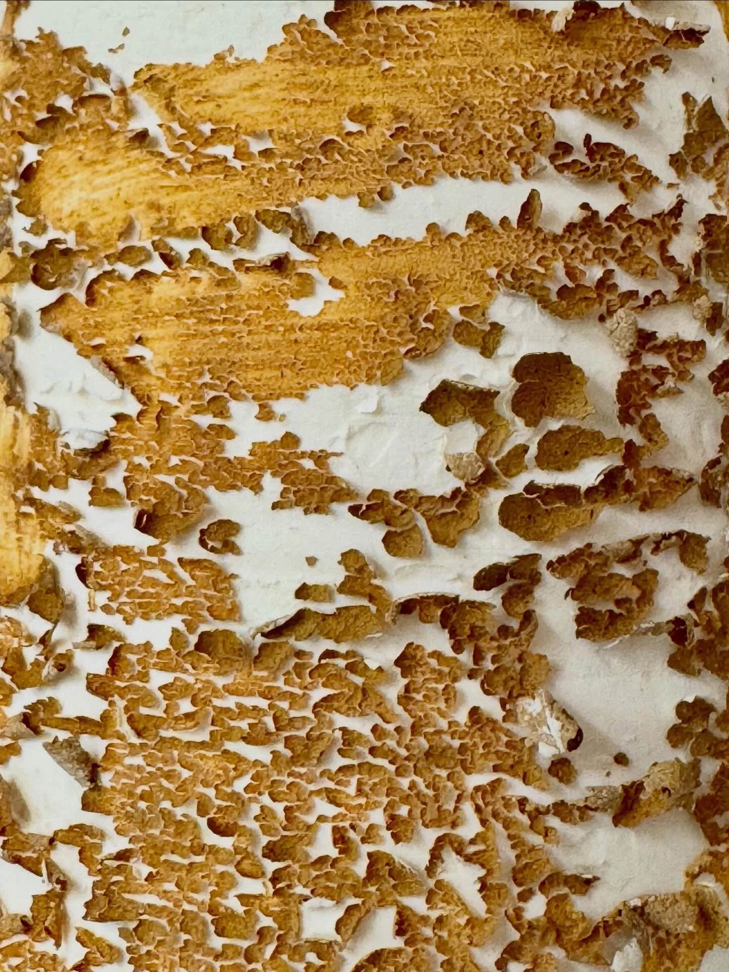 New material explorations underway at @uca_ceramics_glass &mdash; some hits, some misses, but that&rsquo;s all part of the process! The next round is in the kiln now, and I&rsquo;m already excited to see what Monday brings 😅