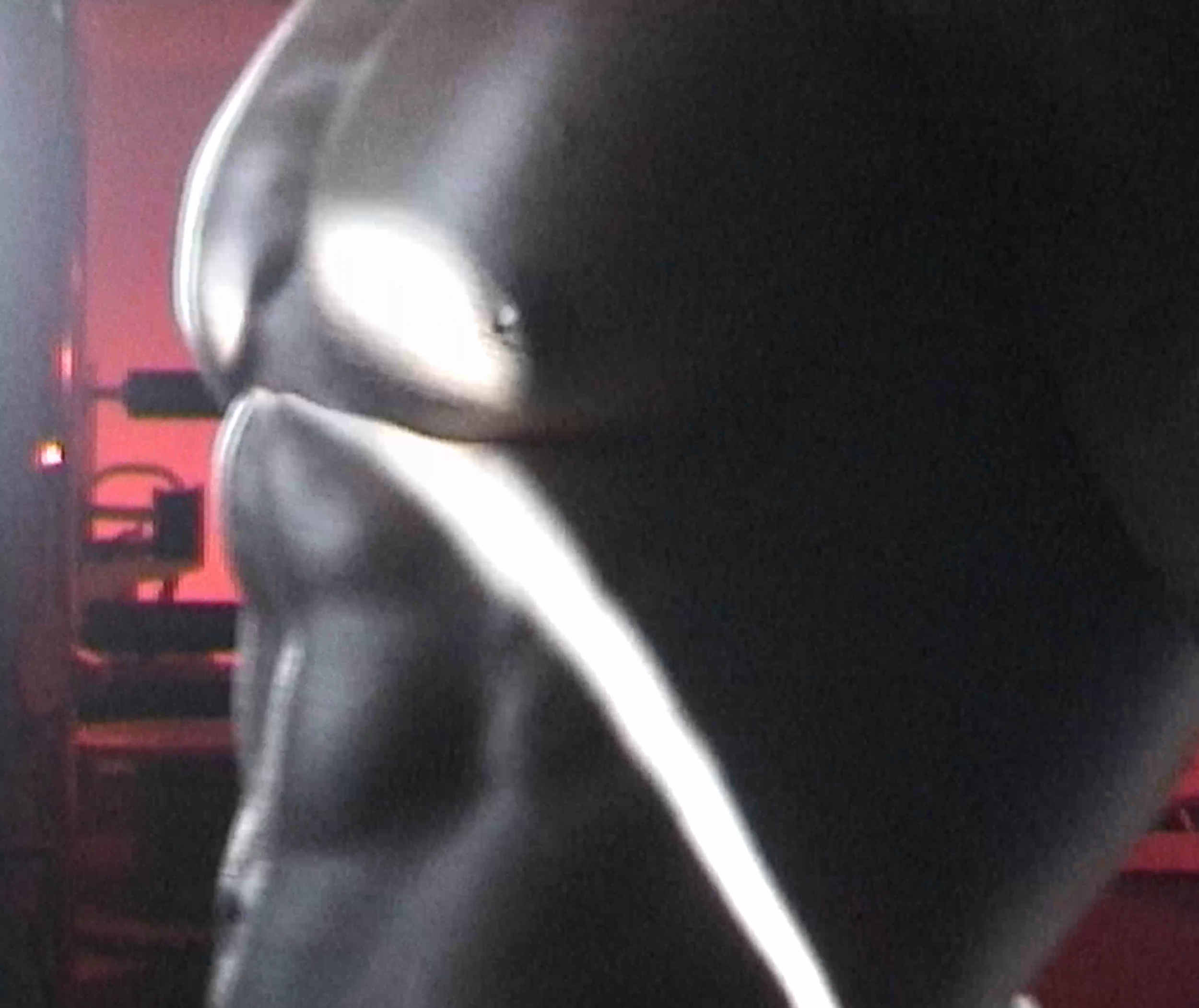 Jay_x_ESG__FINAL_HQ-0006.png