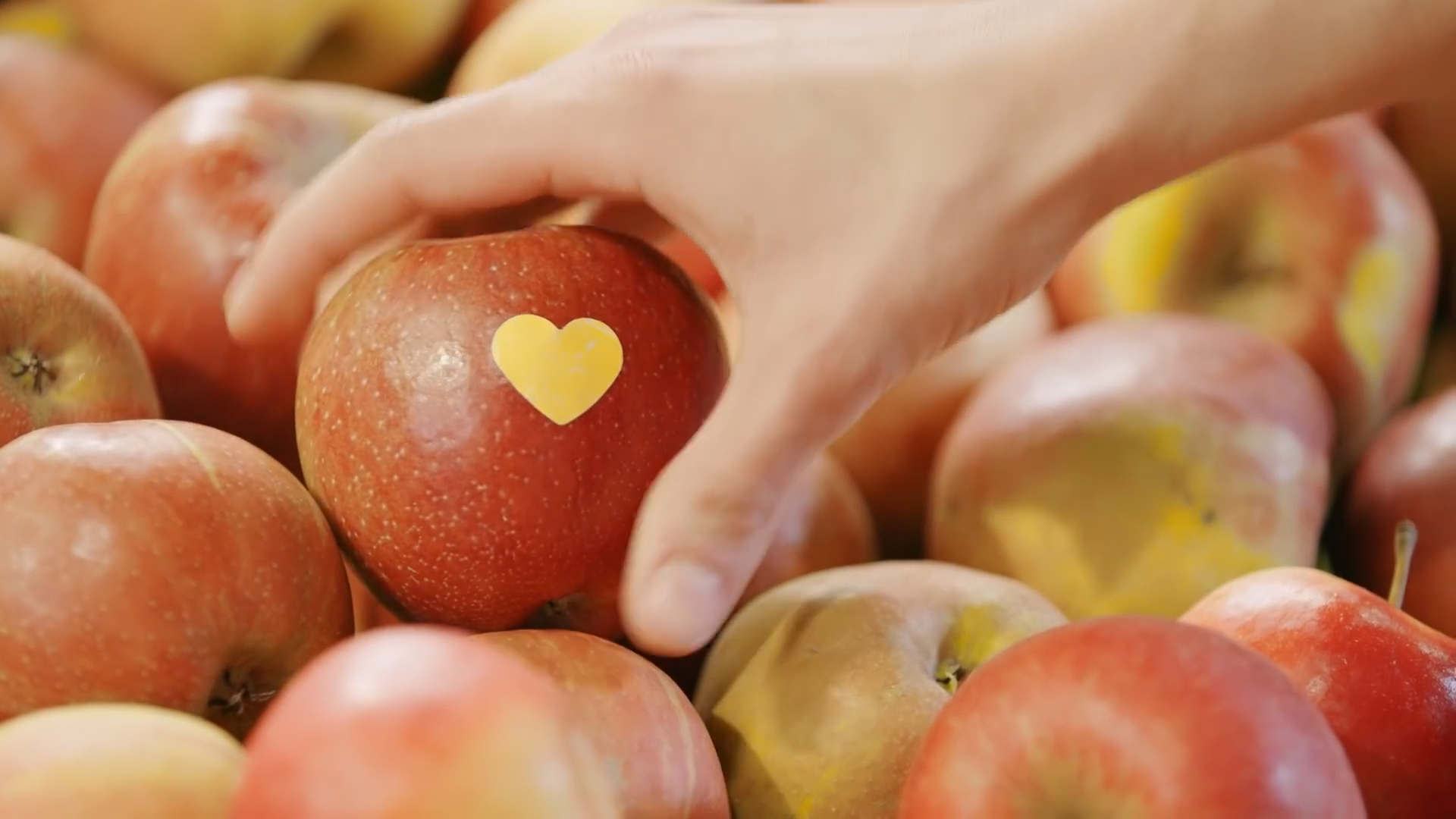 Mach, was dein Herz dir sagt-0003.png