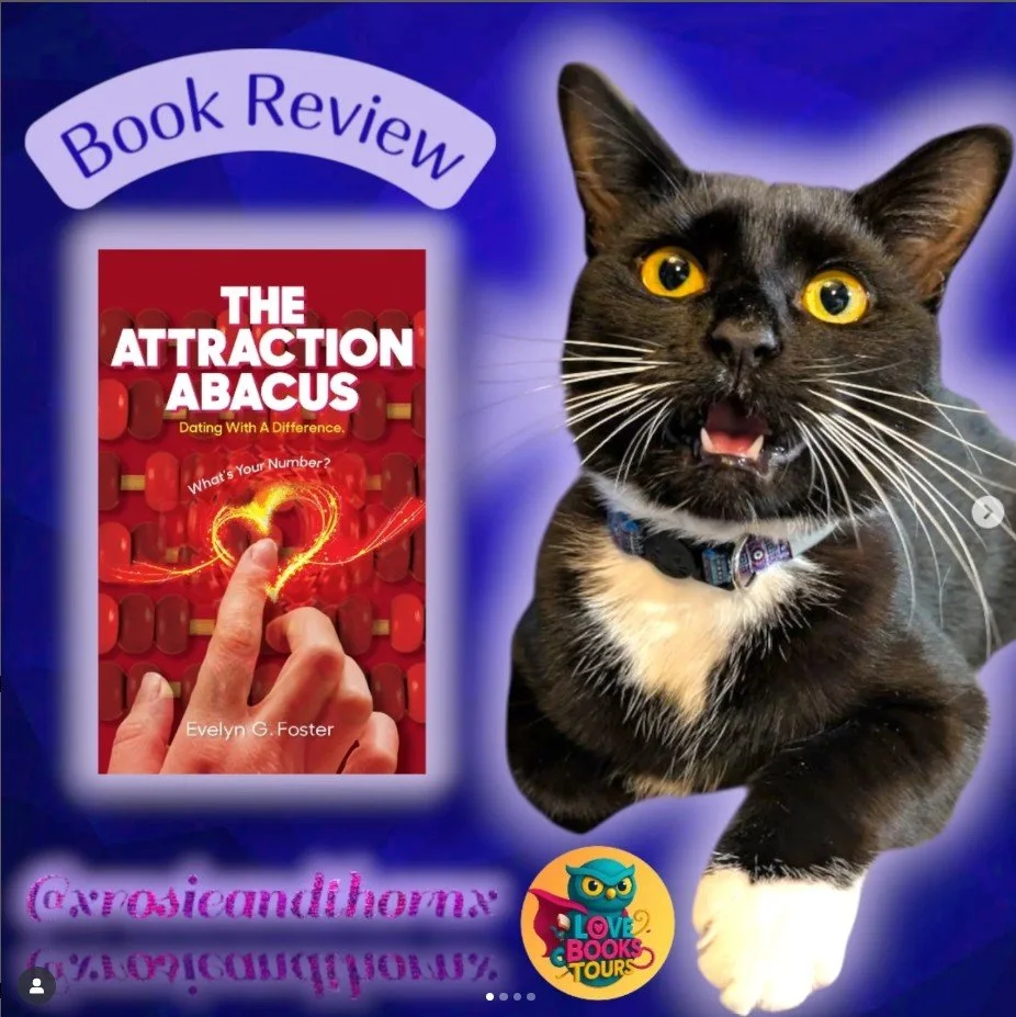 xrosieandthornx Attraction Abacus review