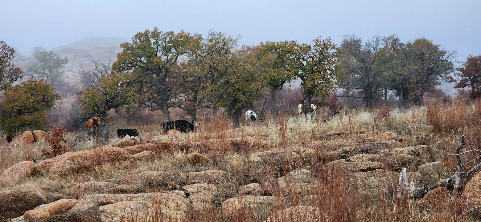 Wichita Mountains Wildlife Refuge, Oklahoma (2023)