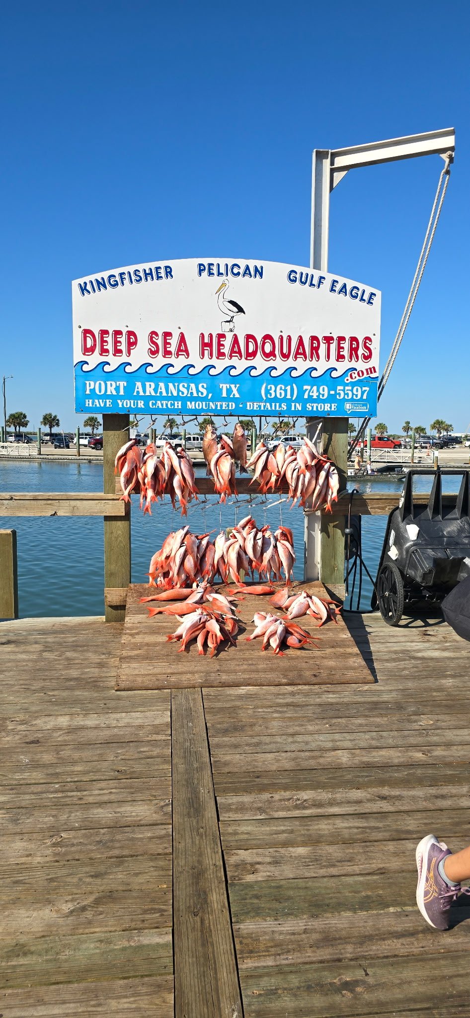 Deep Sea Fishing in Corpus Christi Texas (2025)