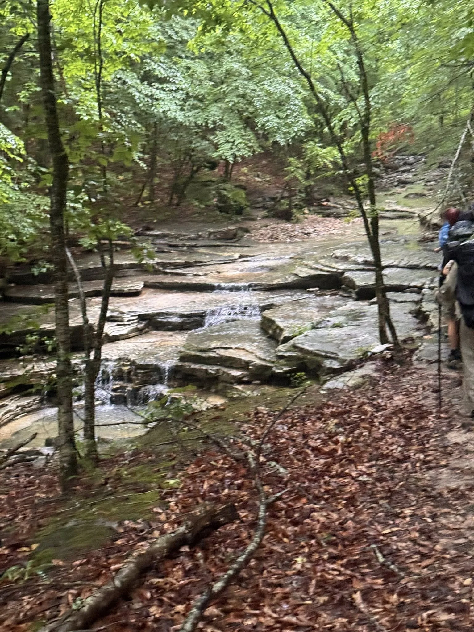 Buffalo National River, Arkansas (2025)
