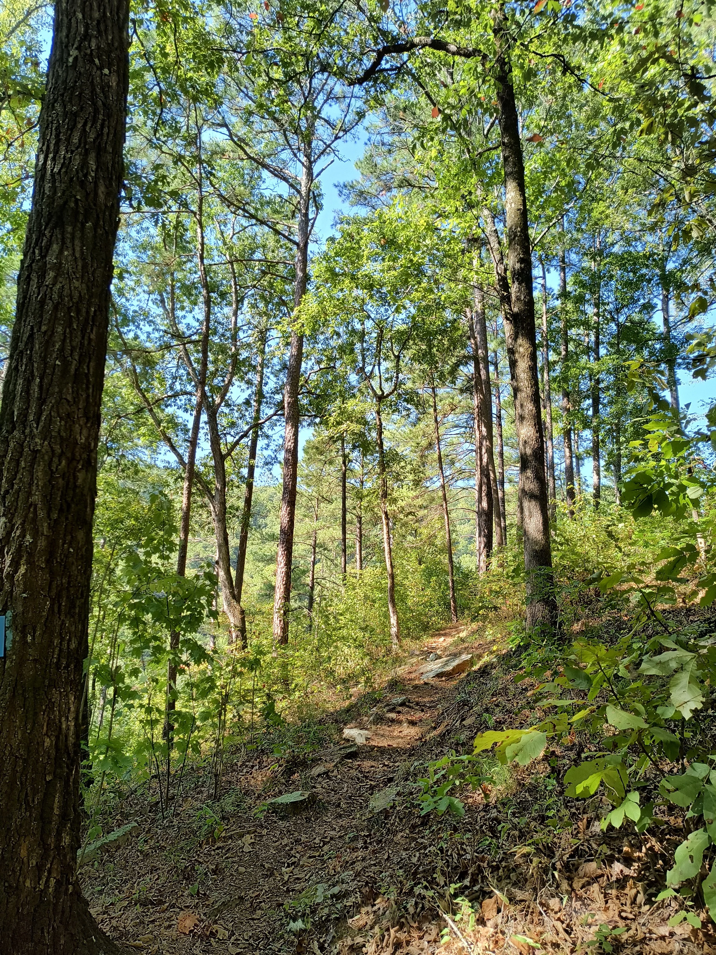 White Rock Mountain, Arkansas (2026)