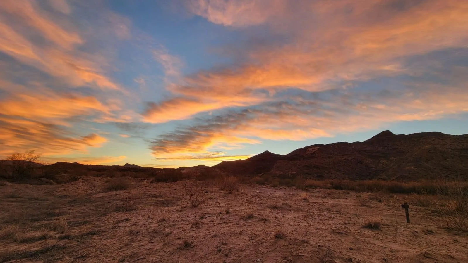 Big Bend National Park (2024)