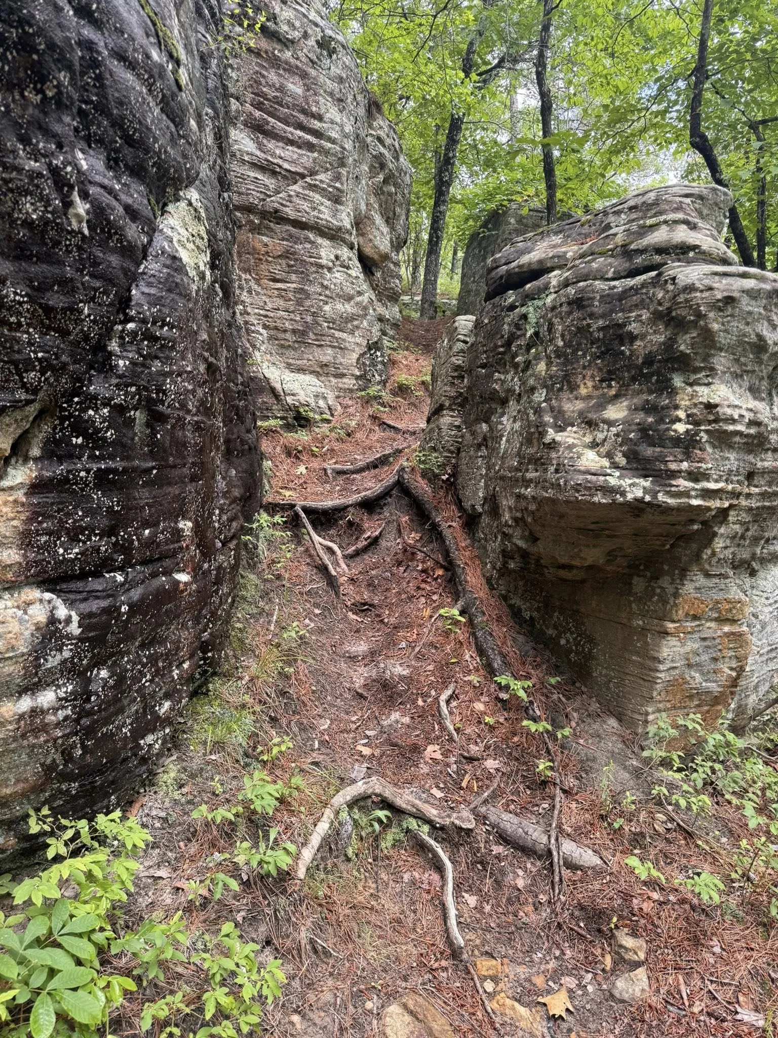 Buffalo National River, Arkansas (2025)