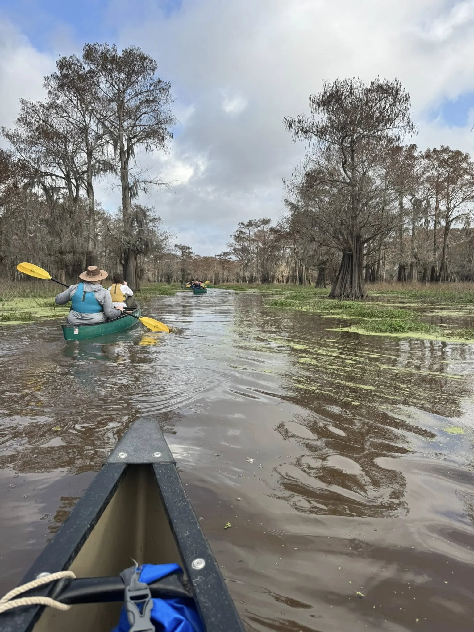 Swamp Base (2026)