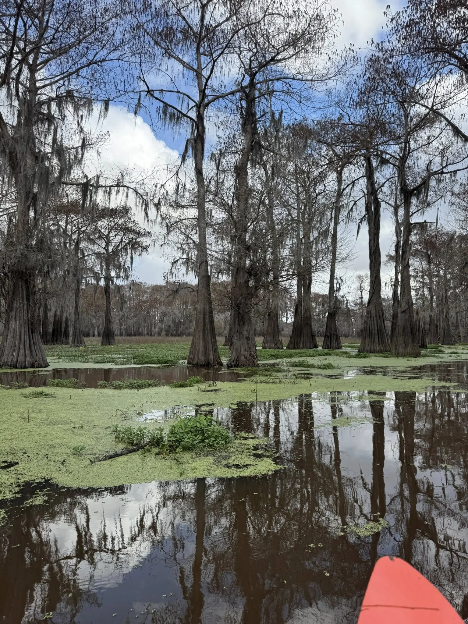 Swamp Base (2026)