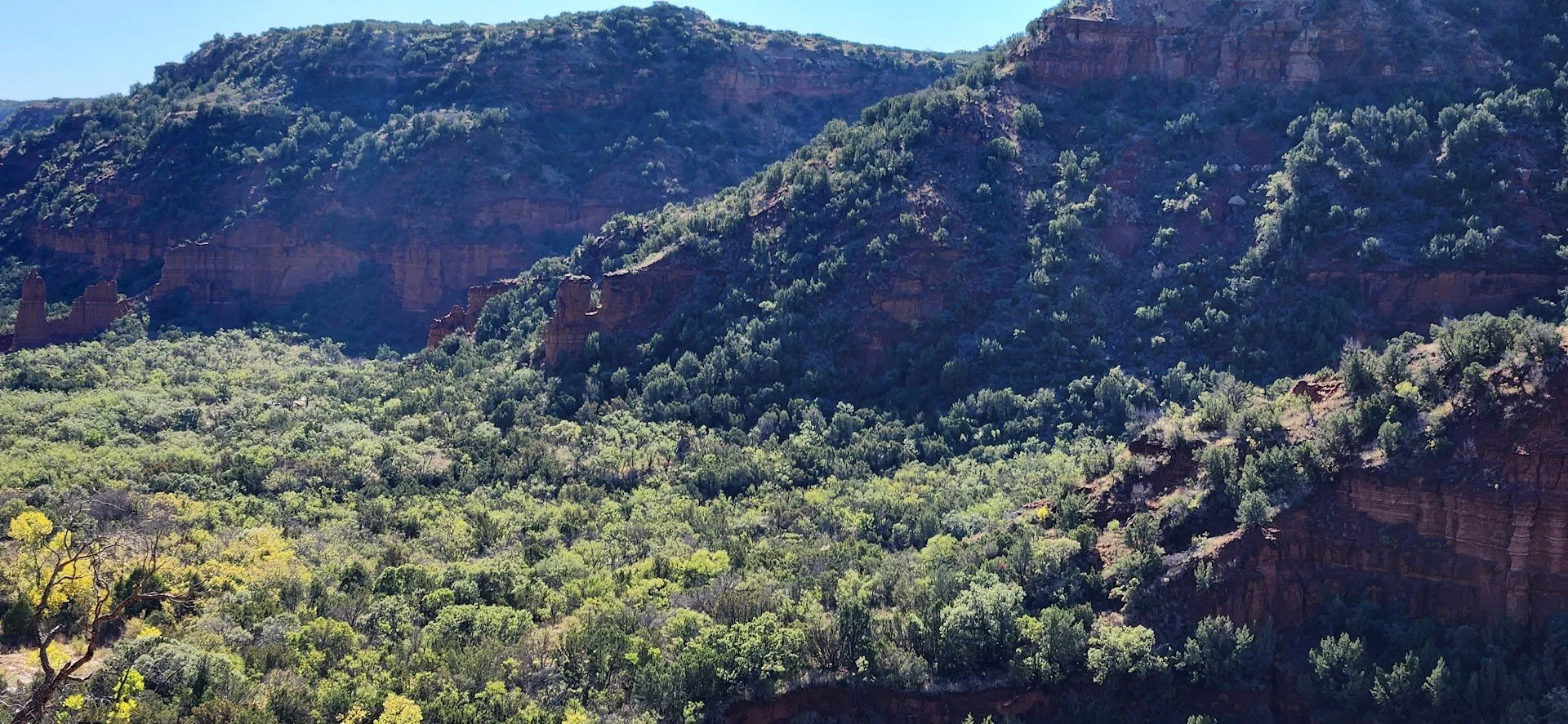 Caprock Canyon (2024)