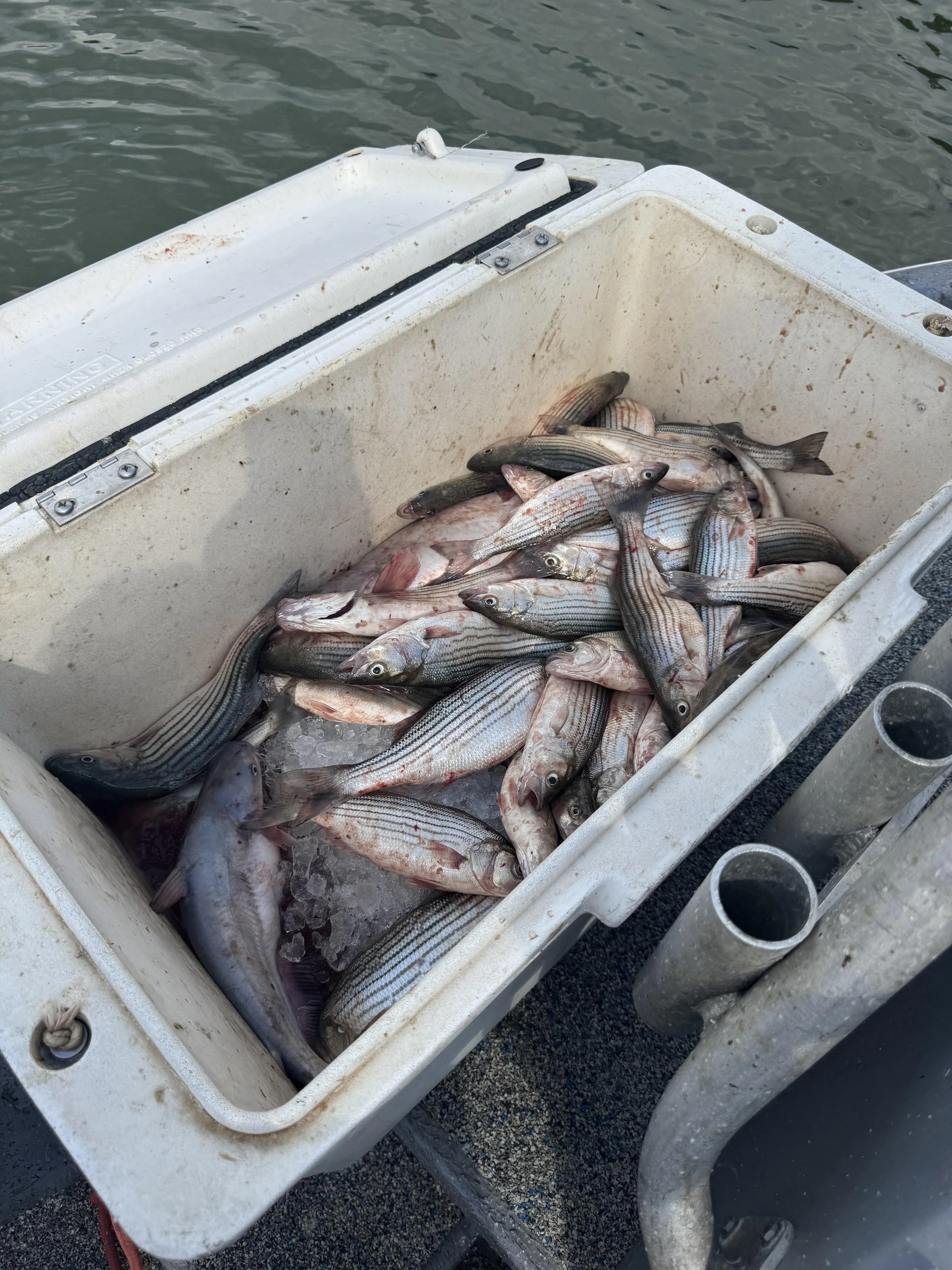 Lake Texoma (2026)