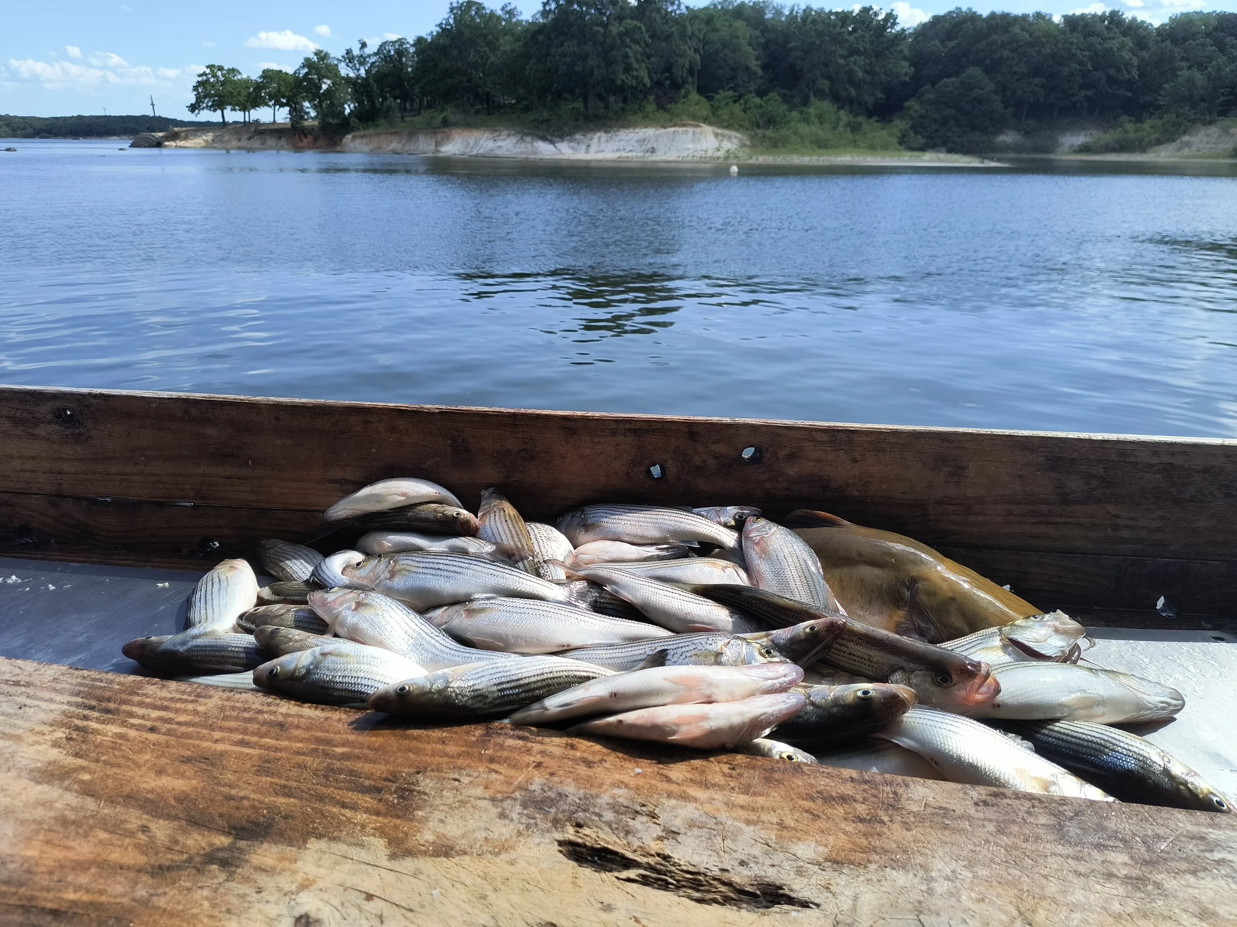 Lake Texoma (2026)