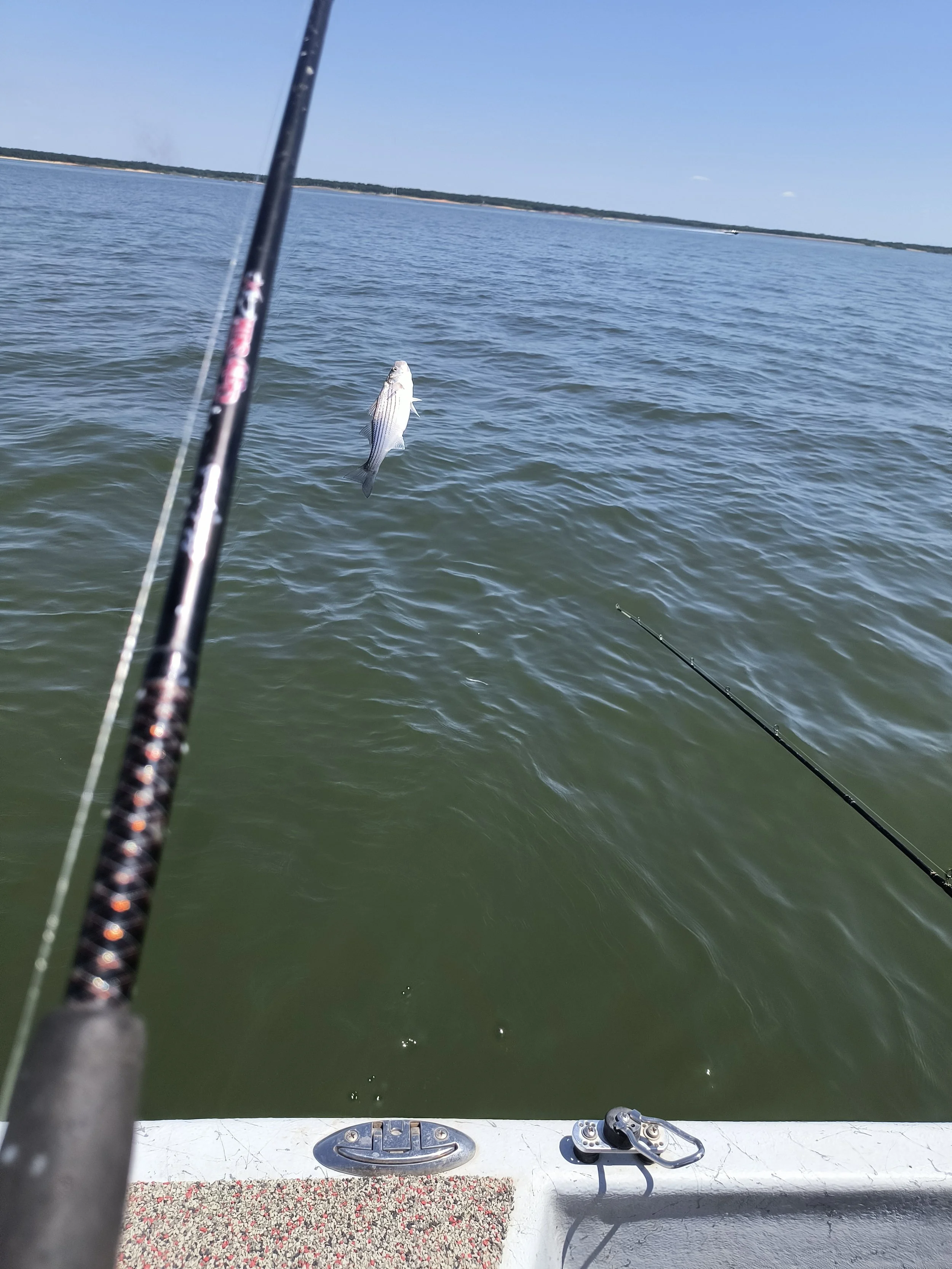 Lake Texoma (2026)