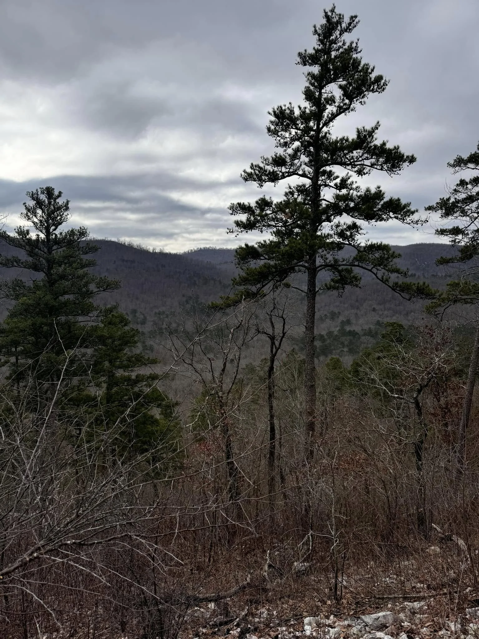 Ouachita National Forest, Arkansas (2025)