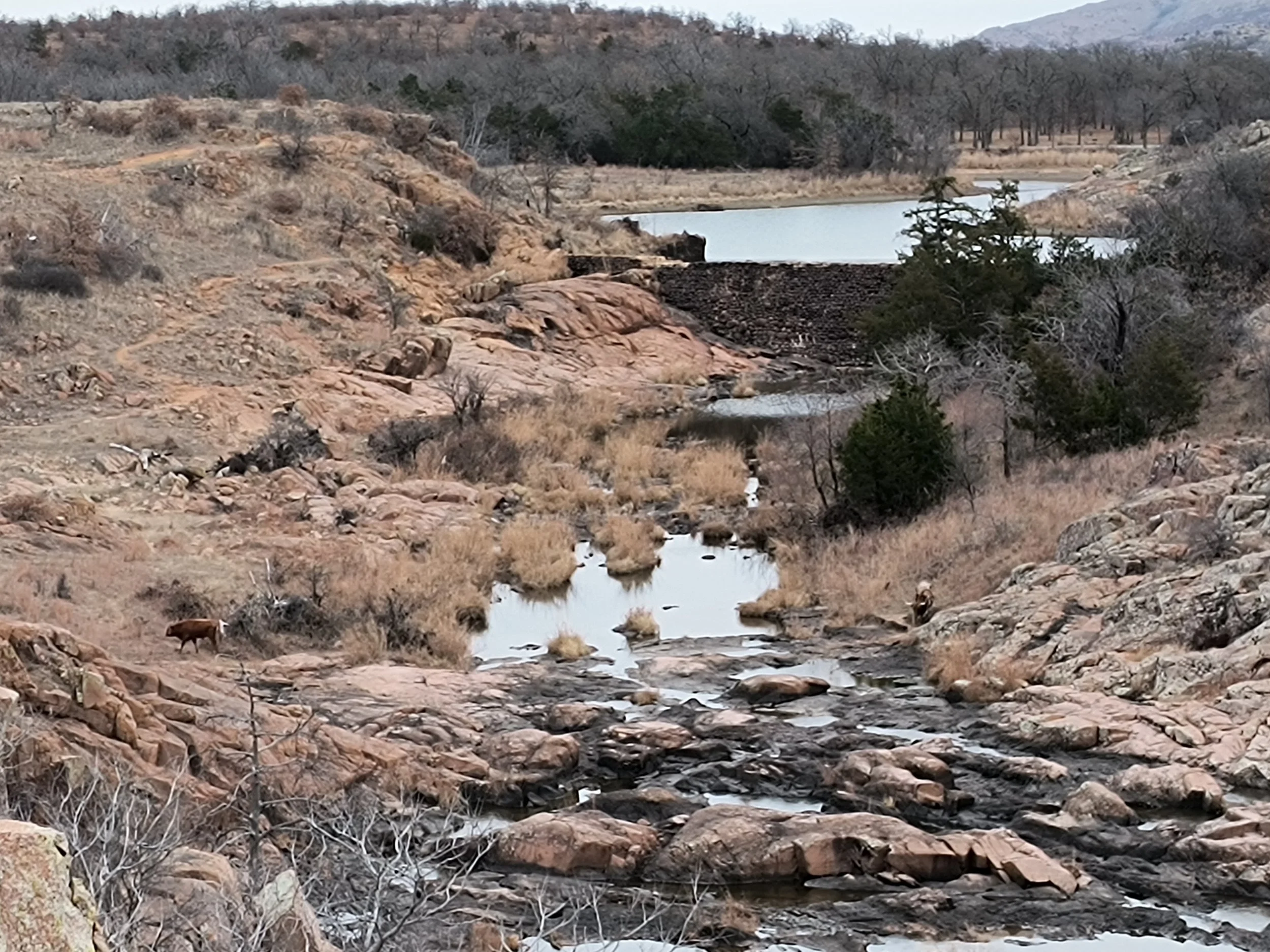 Wichita Mountains Wildlife Refuge, Oklahoma (2026)