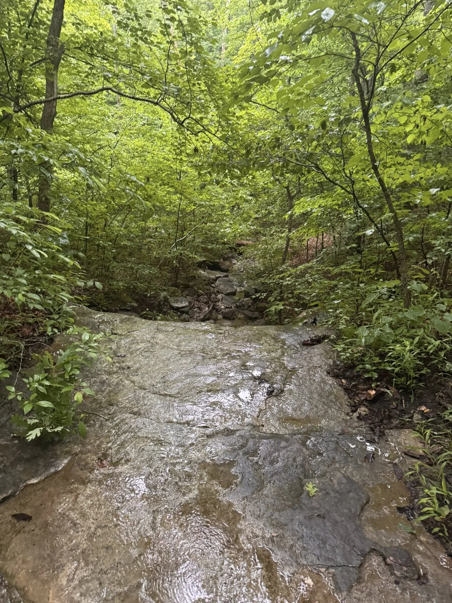 Buffalo National River, Arkansas (2025)