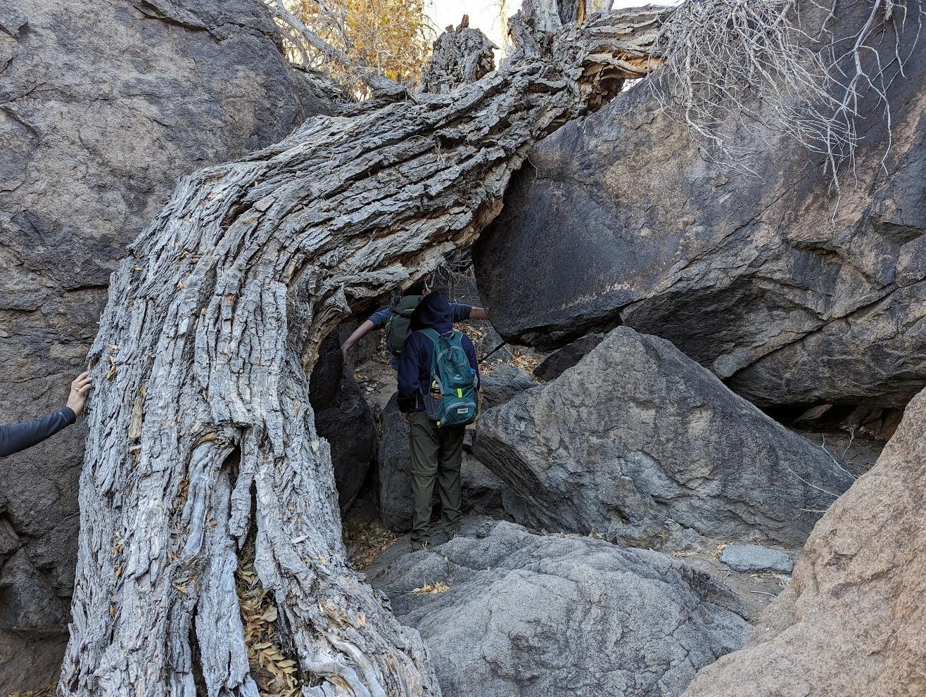 Big Bend National Park (2024)