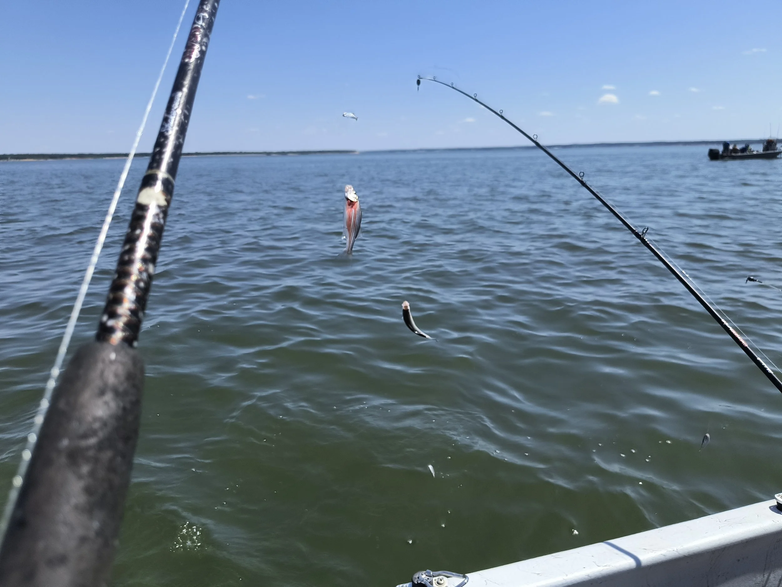 Lake Texoma (2026)